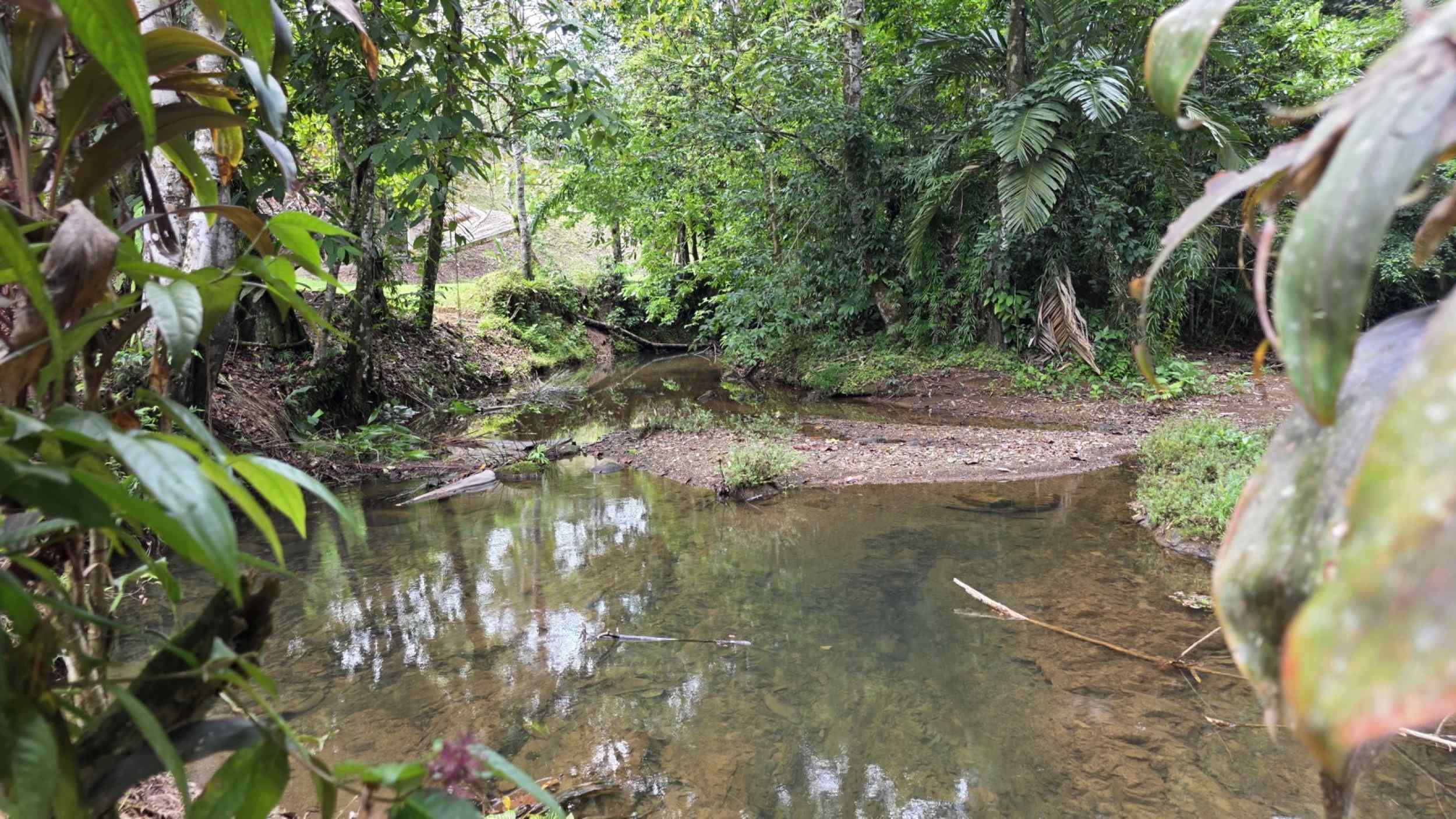 Refreshing 3-Bedroom Riverfront Retreat with Private Pool & Lush Gardens in Ojochal Costa Rica