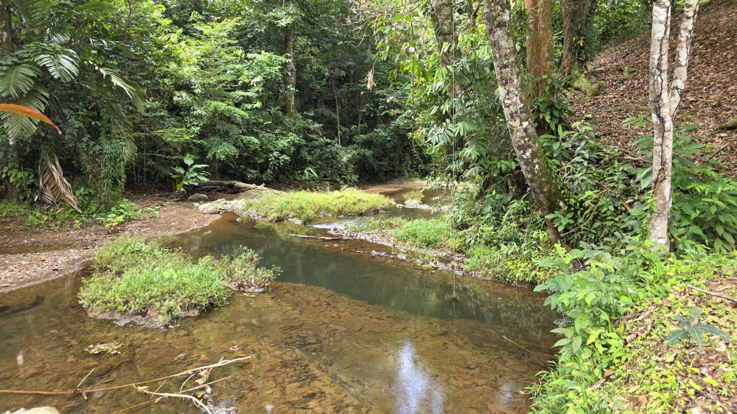 Refreshing 3-Bedroom Riverfront Retreat with Private Pool & Lush Gardens in Ojochal Costa Rica