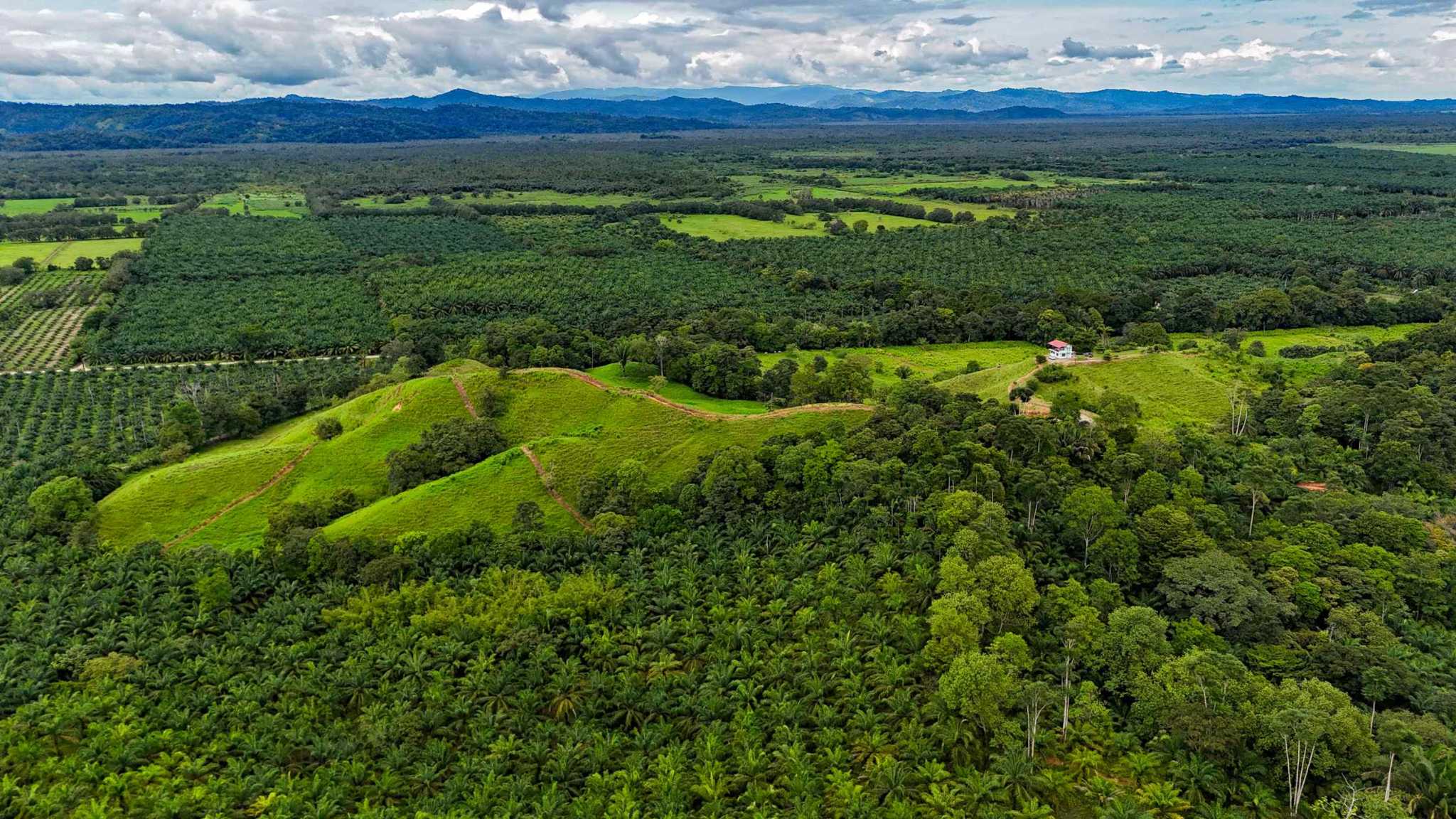 Stunning 2-Bedroom Ranch with Panoramic Views & Legal ASADA Water in Palmar Norte Costa Rica
