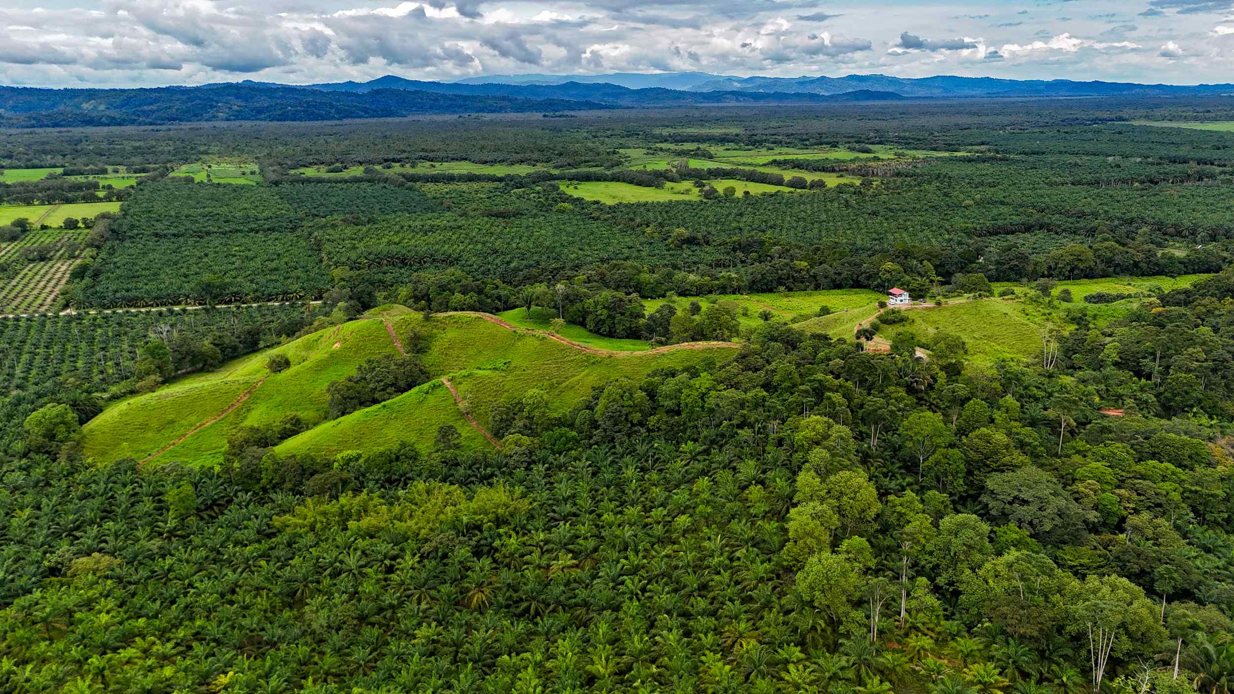 71996-1 Stunning 2-Bedroom Ranch with Panoramic Views & Legal ASADA Water in Palmar Norte Costa Rica