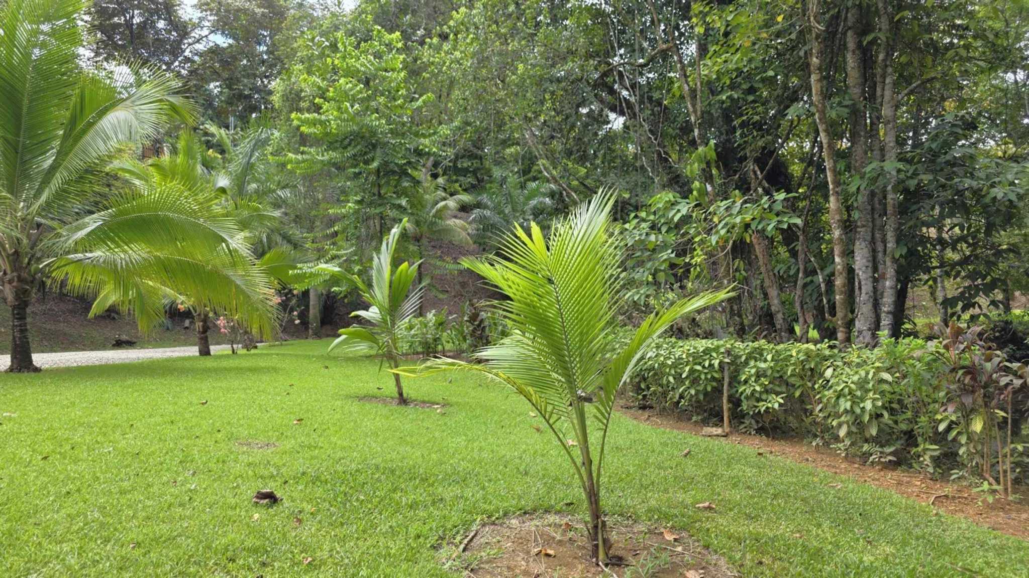 71986-22 Refreshing 3-Bedroom Riverfront Retreat with Private Pool & Lush Gardens in Ojochal Costa Rica