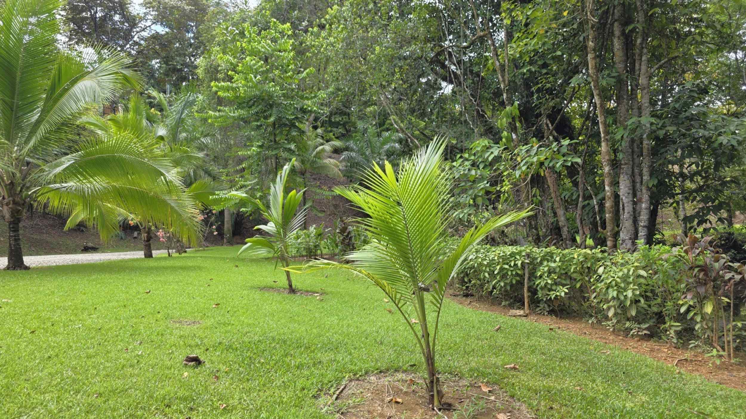 Refreshing 3-Bedroom Riverfront Retreat with Private Pool & Lush Gardens in Ojochal Costa Rica