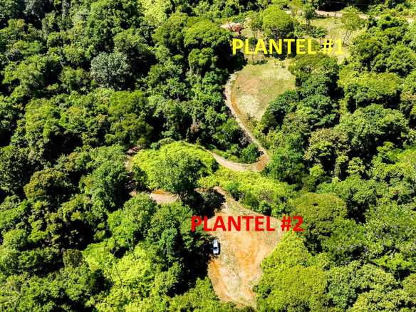 Serene Jungle & Mountain View 4-Acre Building Lot in Tres Rios Costa Rica