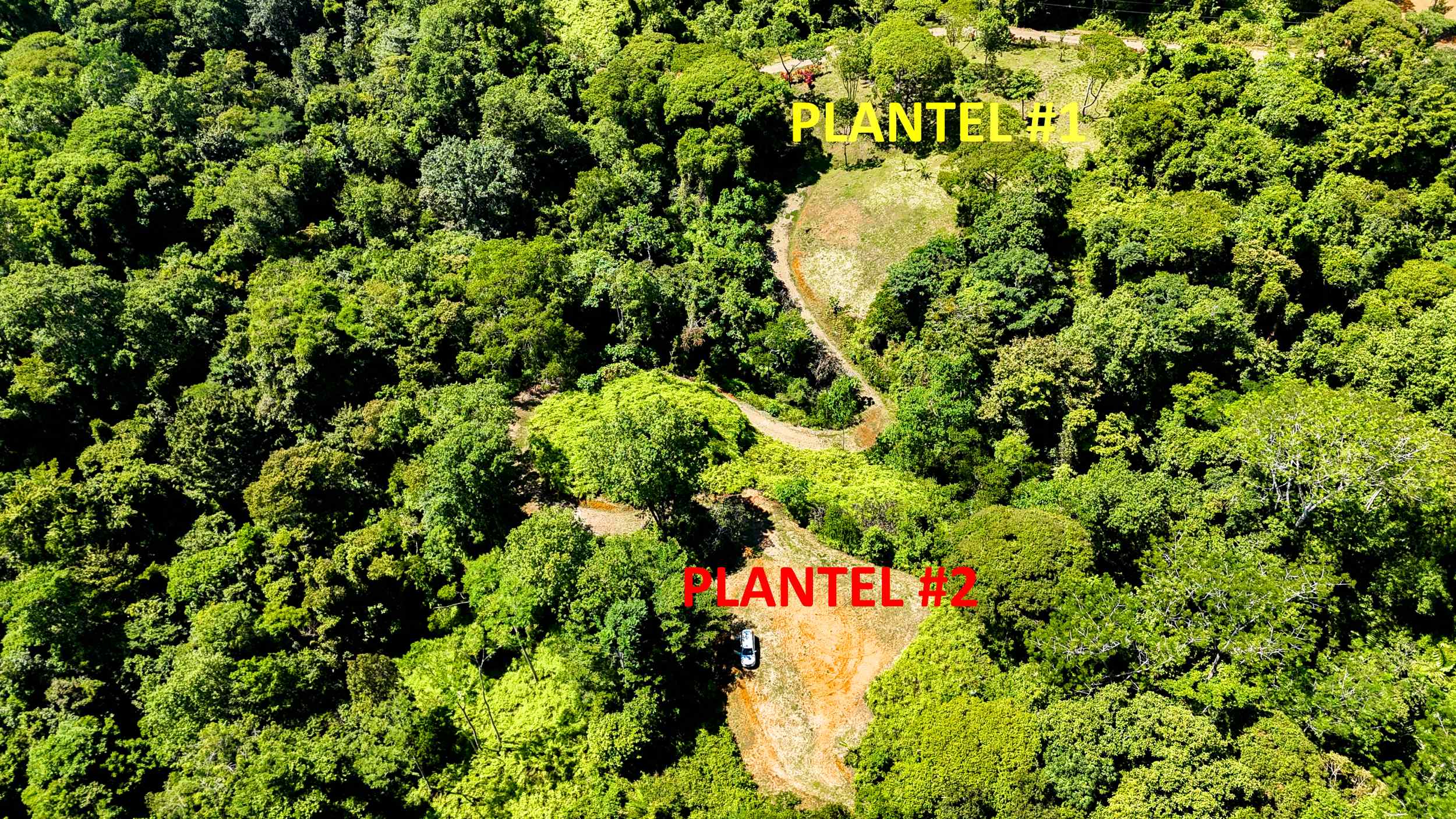 Serene Jungle & Mountain View 4-Acre Building Lot in Tres Rios Costa Rica