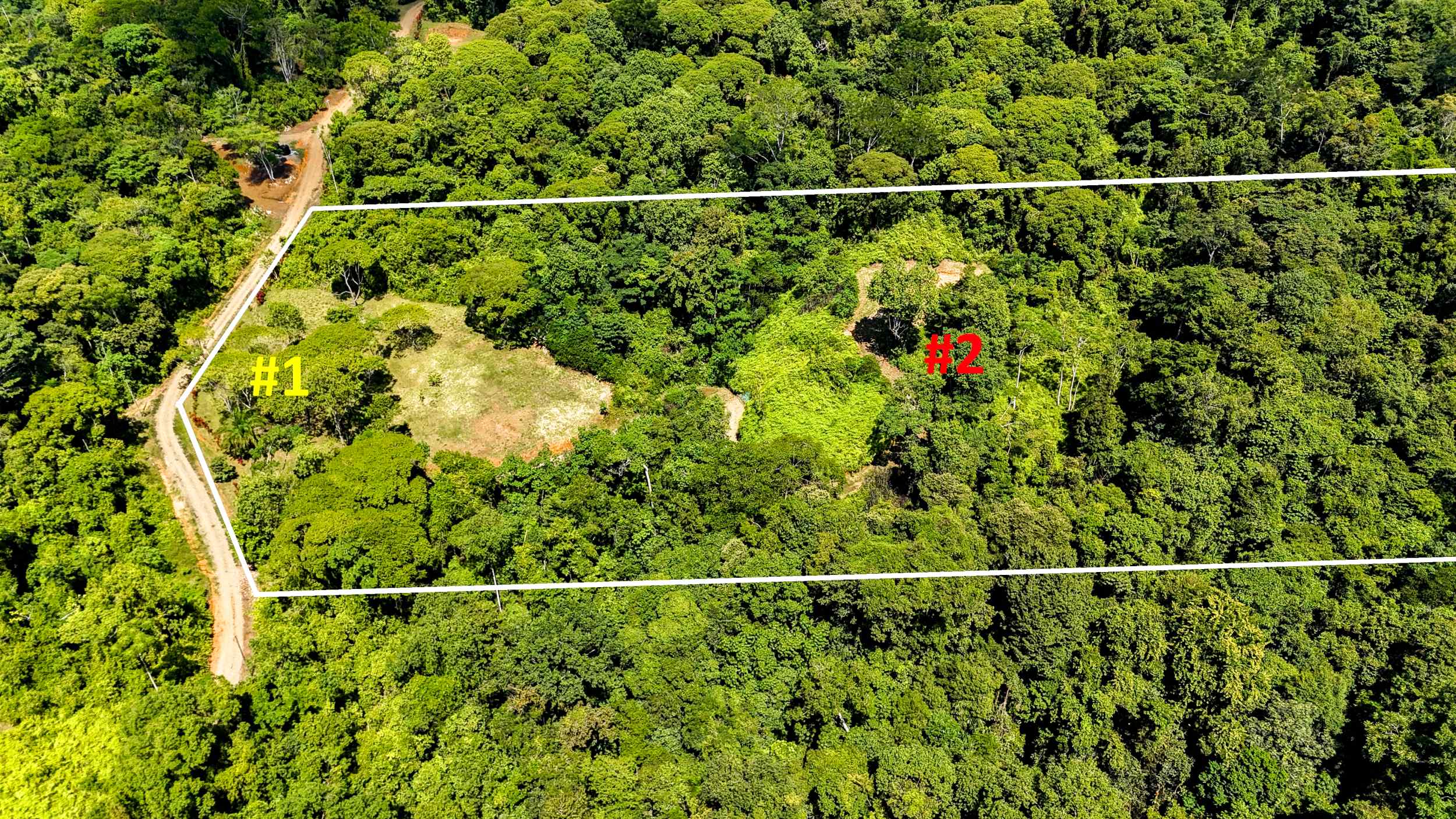 Serene Jungle & Mountain View 4-Acre Building Lot in Tres Rios Costa Rica