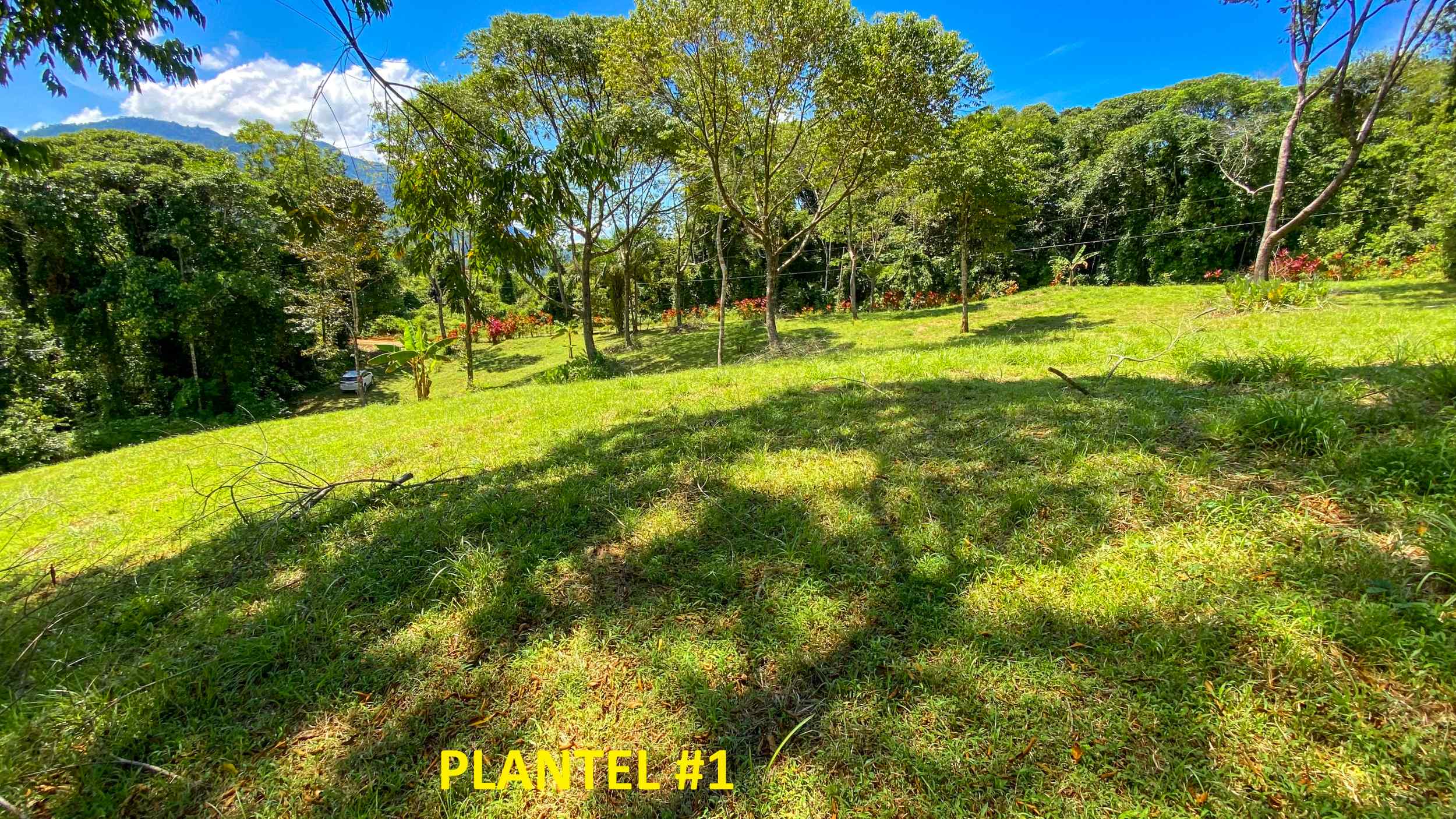 Serene Jungle & Mountain View 4-Acre Building Lot in Tres Rios Costa Rica