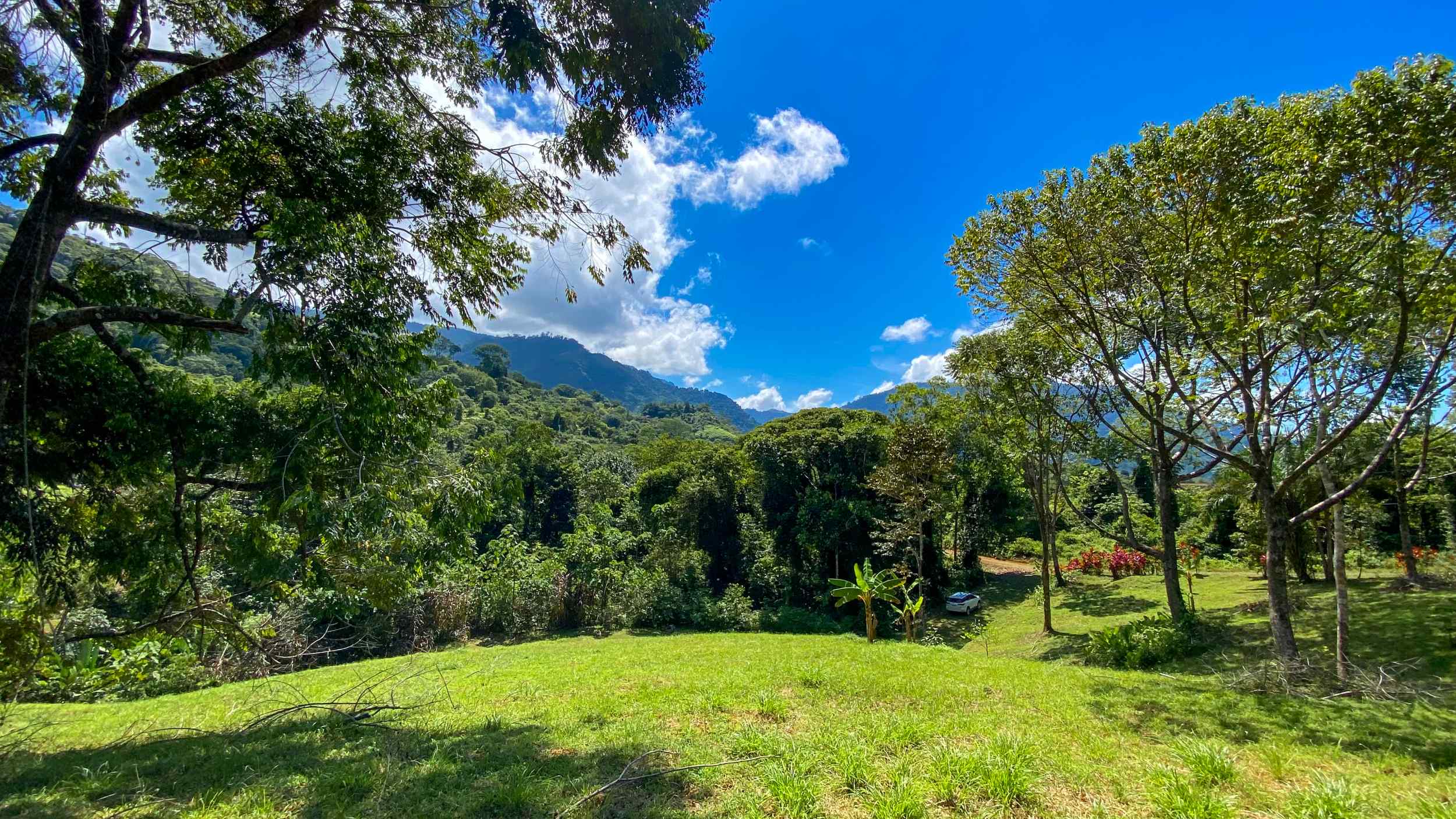 Serene Jungle & Mountain View 4-Acre Building Lot in Tres Rios Costa Rica