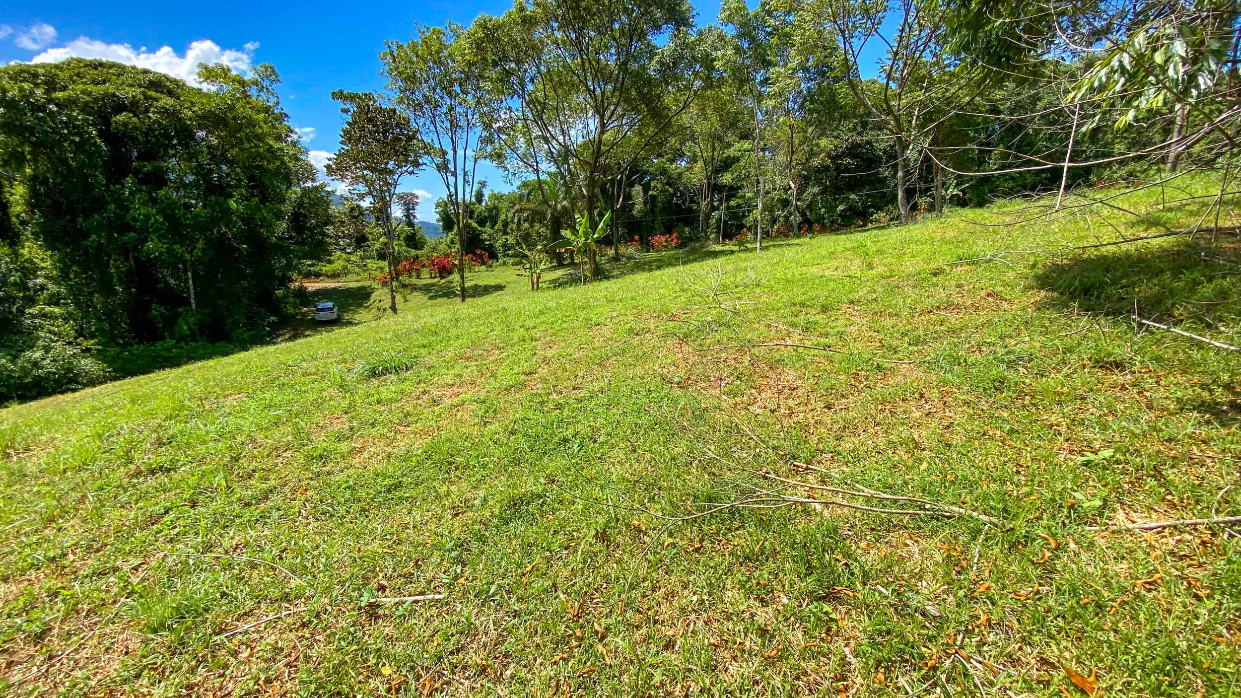 Serene Jungle & Mountain View 4-Acre Building Lot in Tres Rios Costa Rica