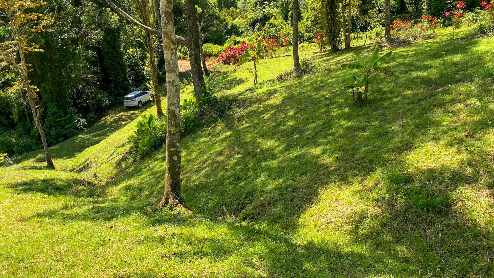 Serene Jungle & Mountain View 4-Acre Building Lot in Tres Rios Costa Rica