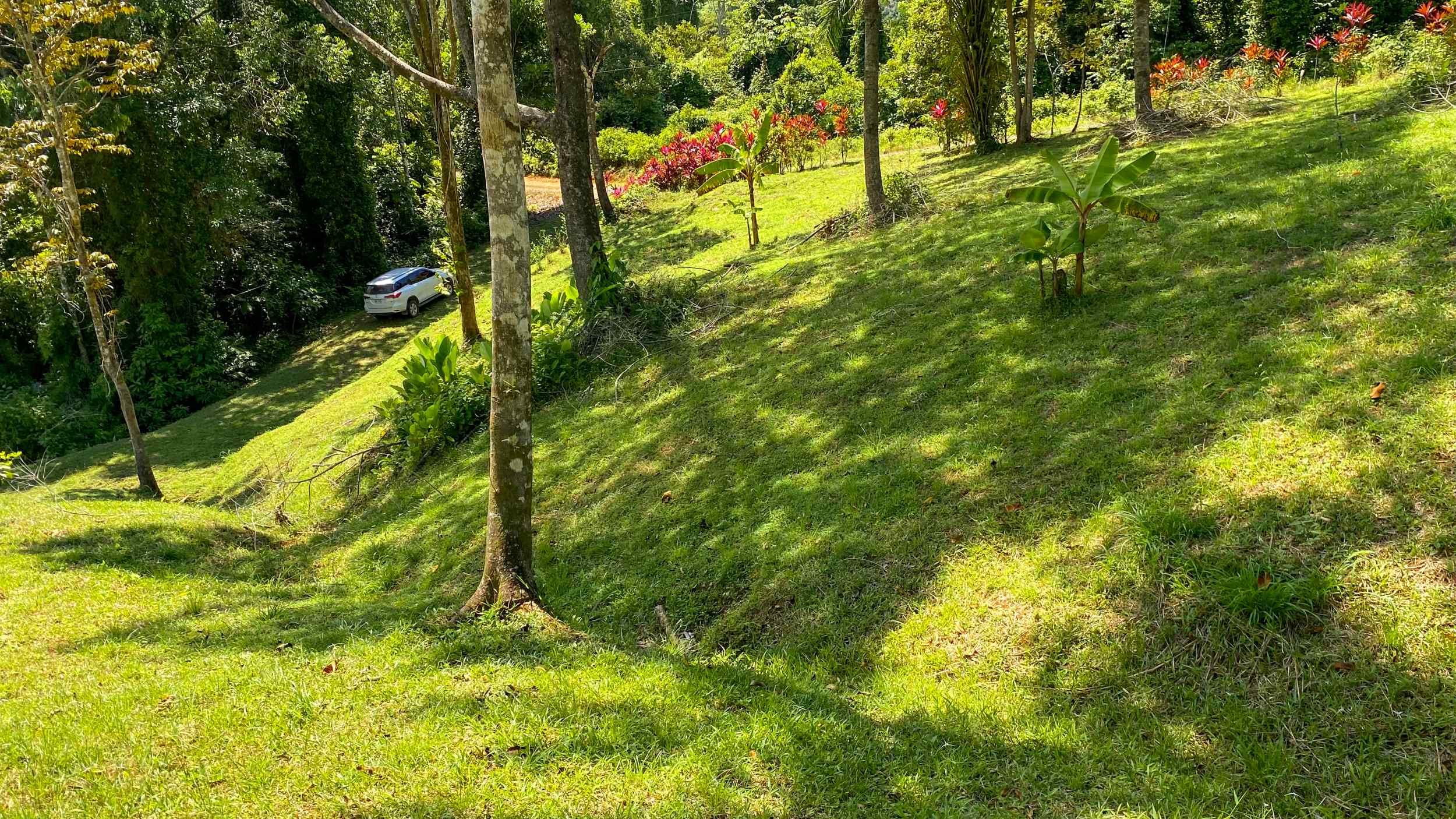 Serene Jungle & Mountain View 4-Acre Building Lot in Tres Rios Costa Rica