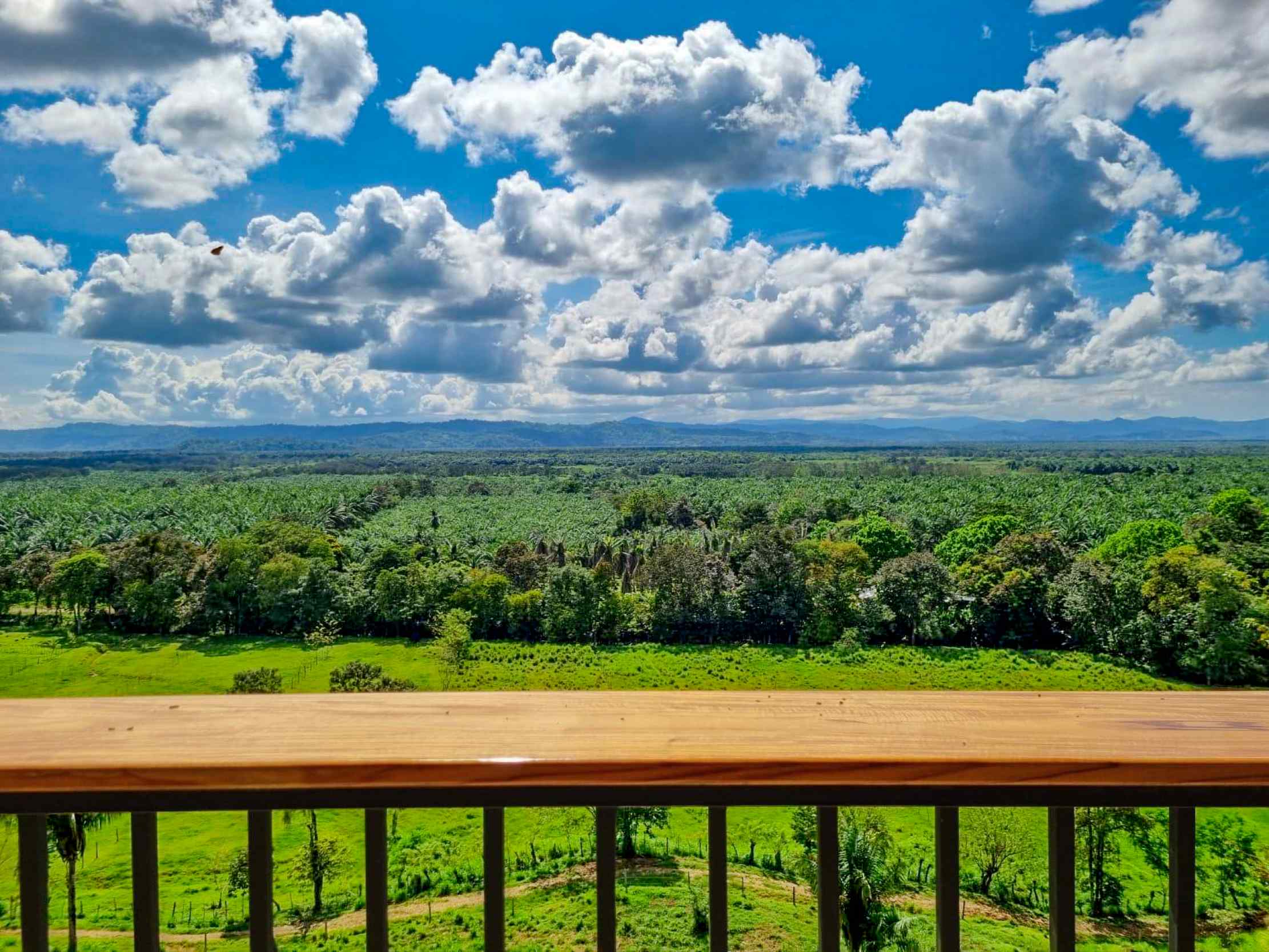71996-18 Stunning 2-Bedroom Ranch with Panoramic Views & Legal ASADA Water in Palmar Norte Costa Rica