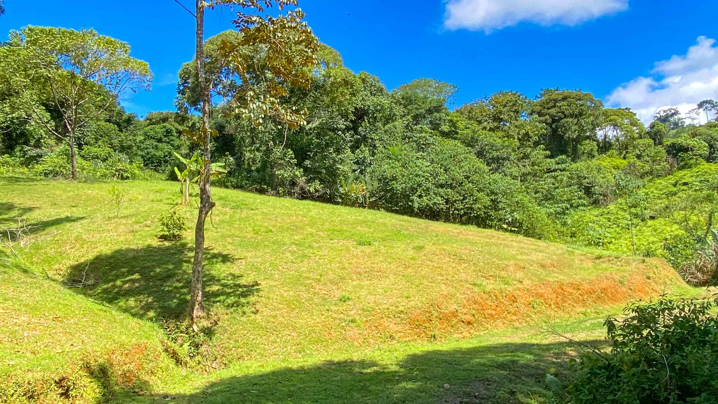 Serene Jungle & Mountain View 4-Acre Building Lot in Tres Rios Costa Rica