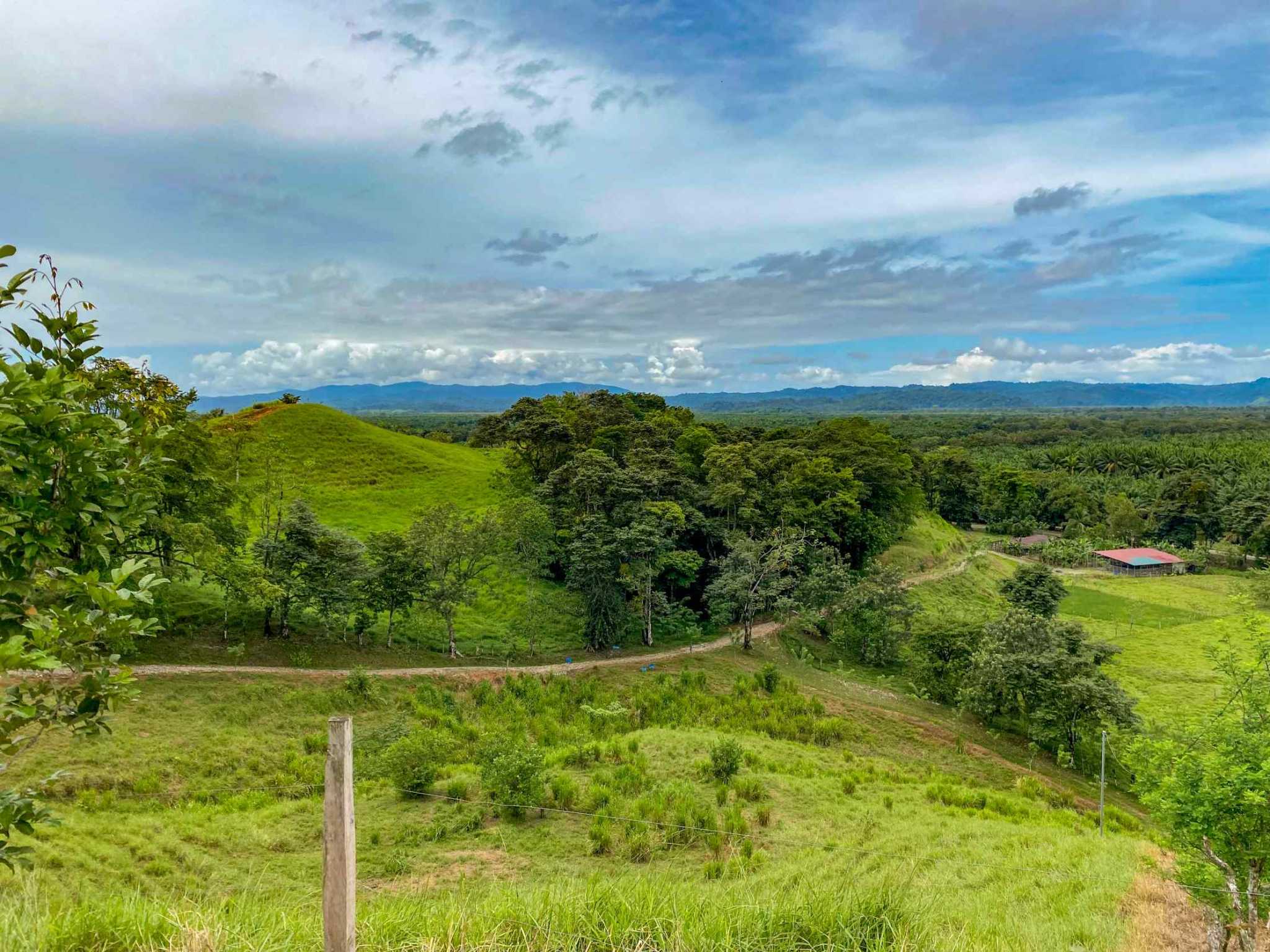 Stunning 2-Bedroom Ranch with Panoramic Views & Legal ASADA Water in Palmar Norte Costa Rica