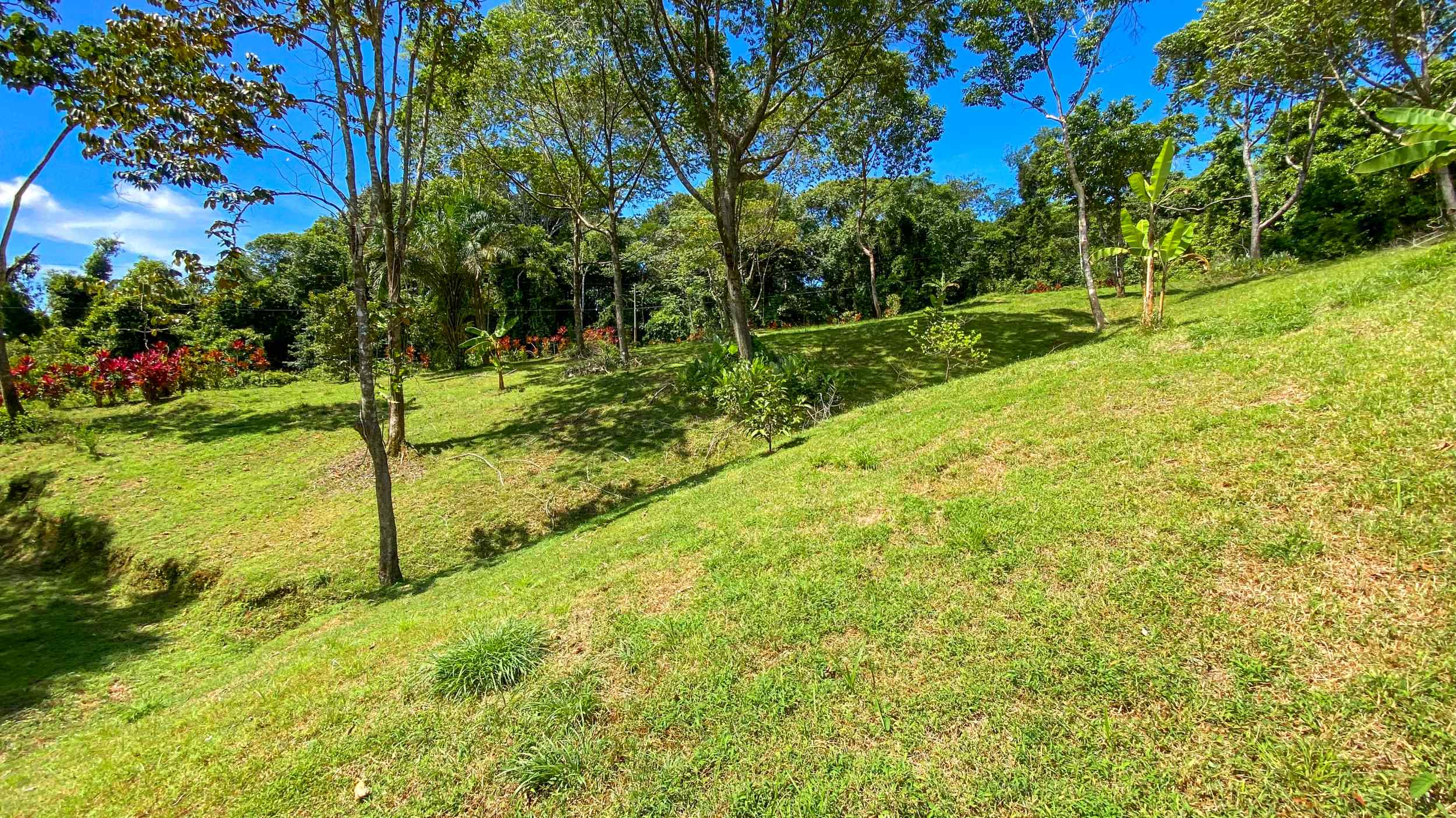Serene Jungle & Mountain View 4-Acre Building Lot in Tres Rios Costa Rica