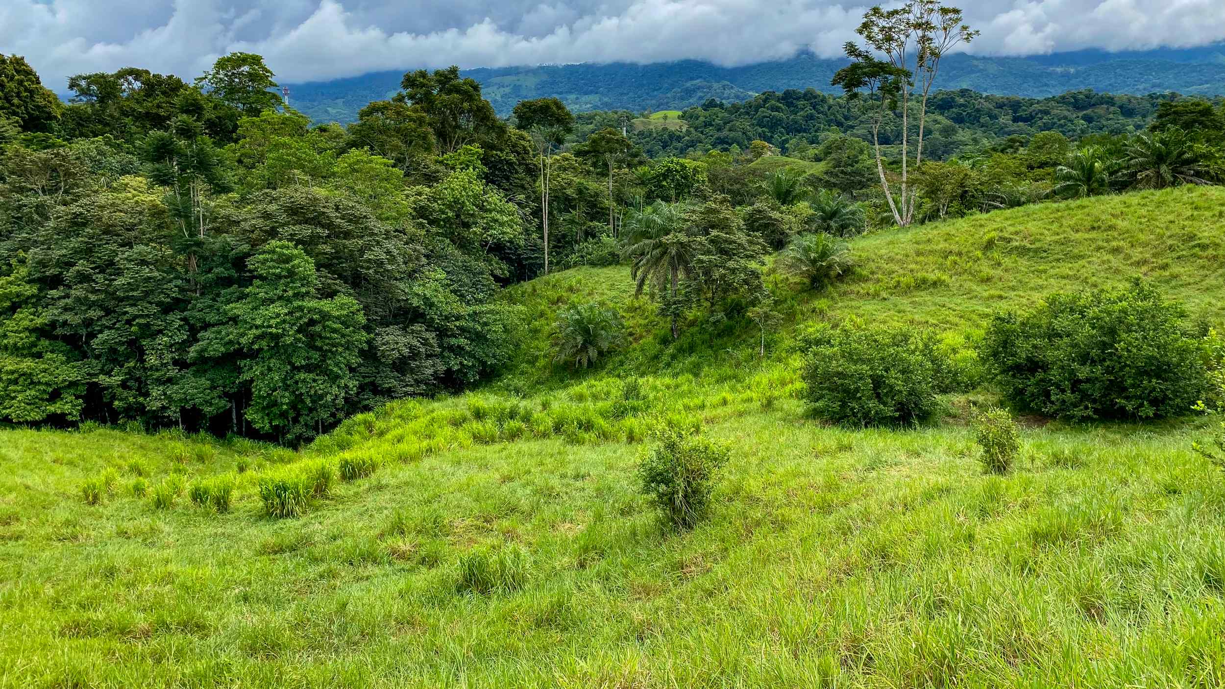 71996-21 Stunning 2-Bedroom Ranch with Panoramic Views & Legal ASADA Water in Palmar Norte Costa Rica