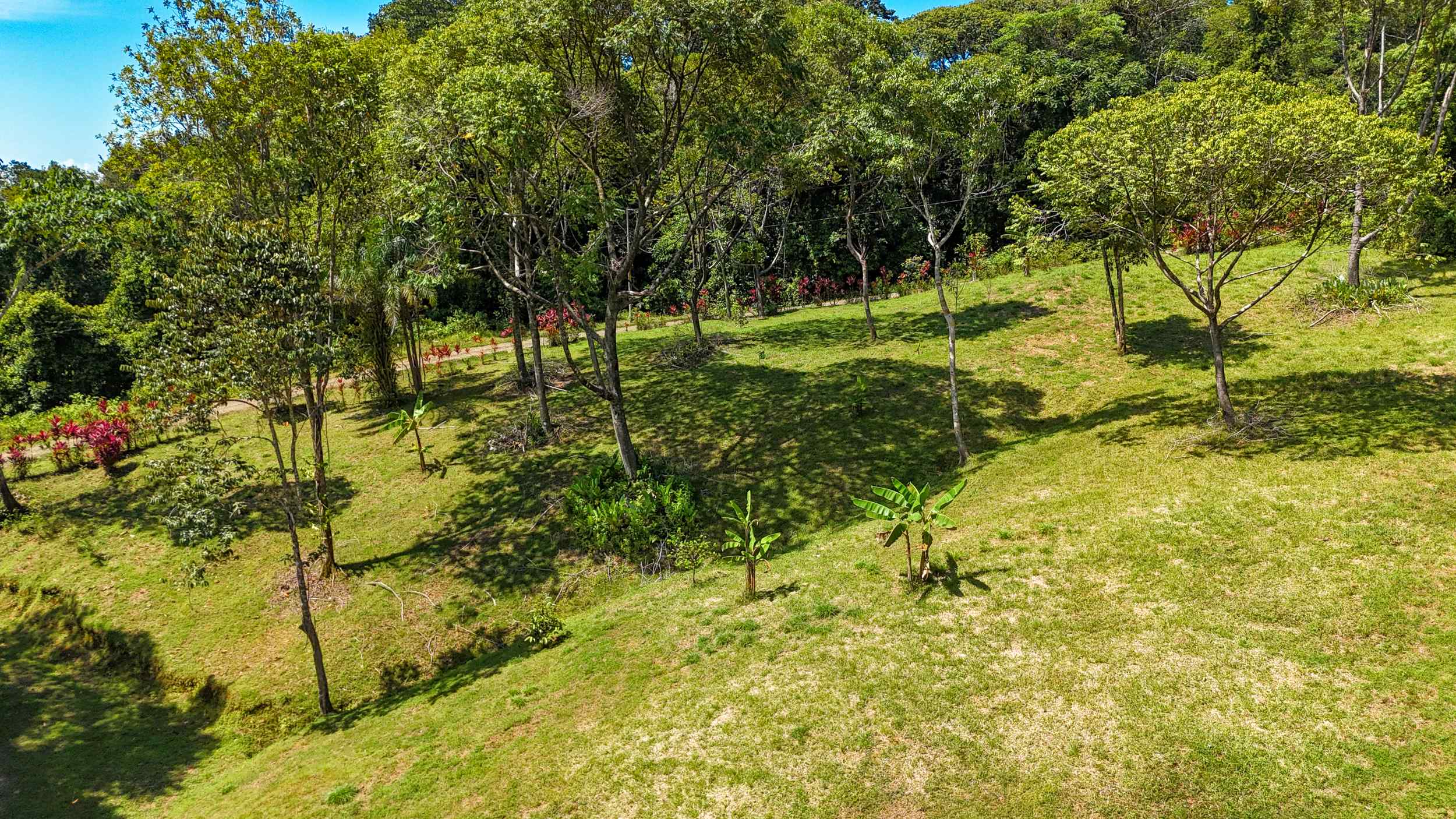 Serene Jungle & Mountain View 4-Acre Building Lot in Tres Rios Costa Rica