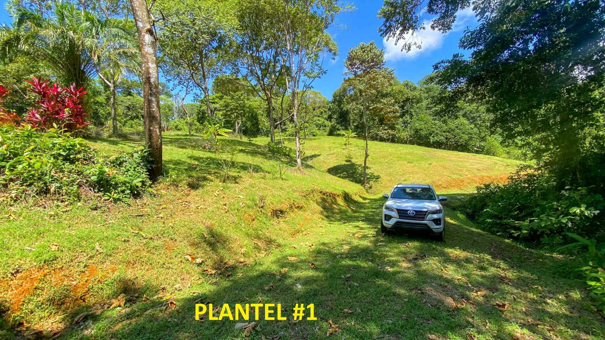 Serene Jungle & Mountain View 4-Acre Building Lot in Tres Rios Costa Rica