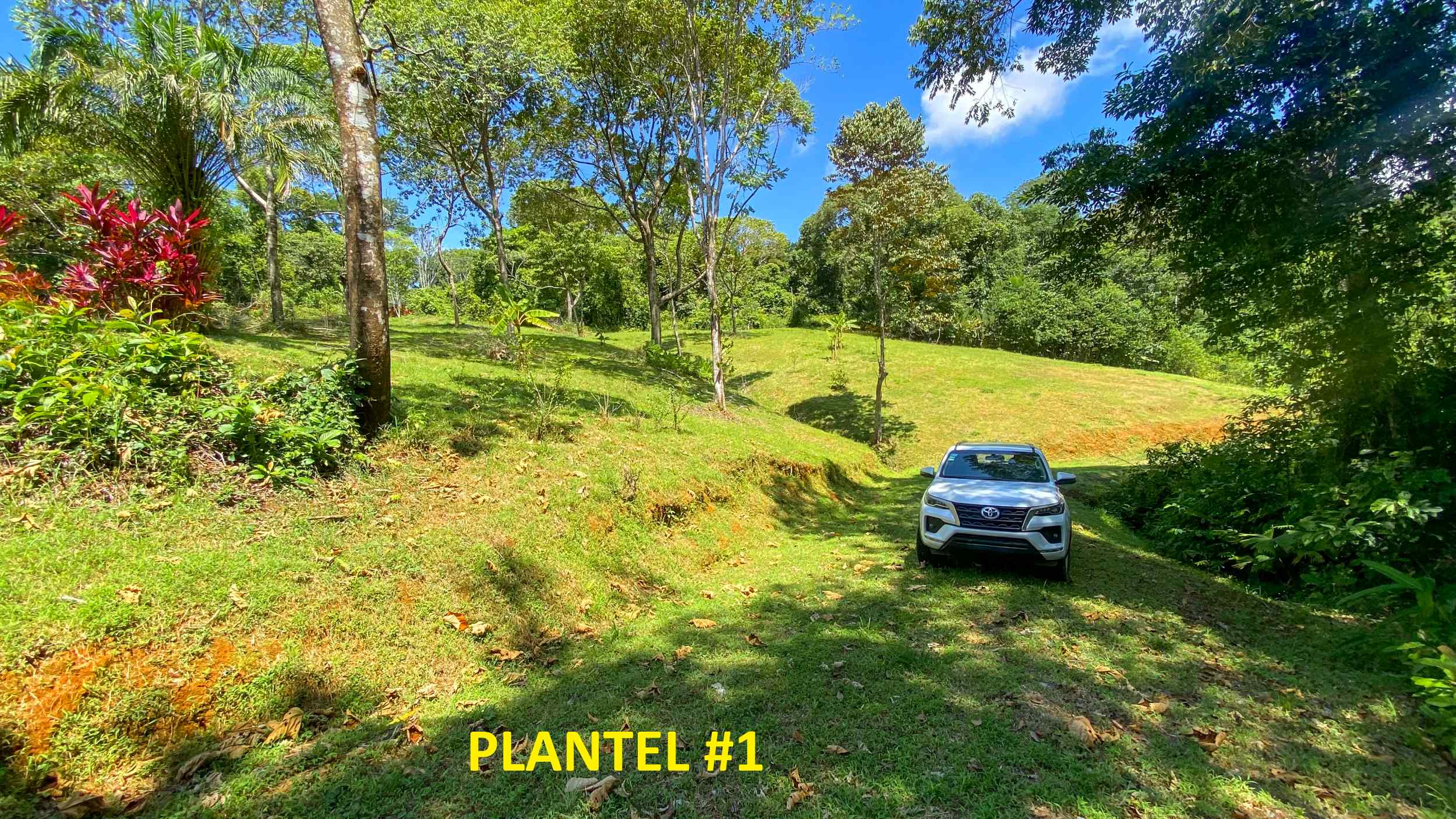 Serene Jungle & Mountain View 4-Acre Building Lot in Tres Rios Costa Rica