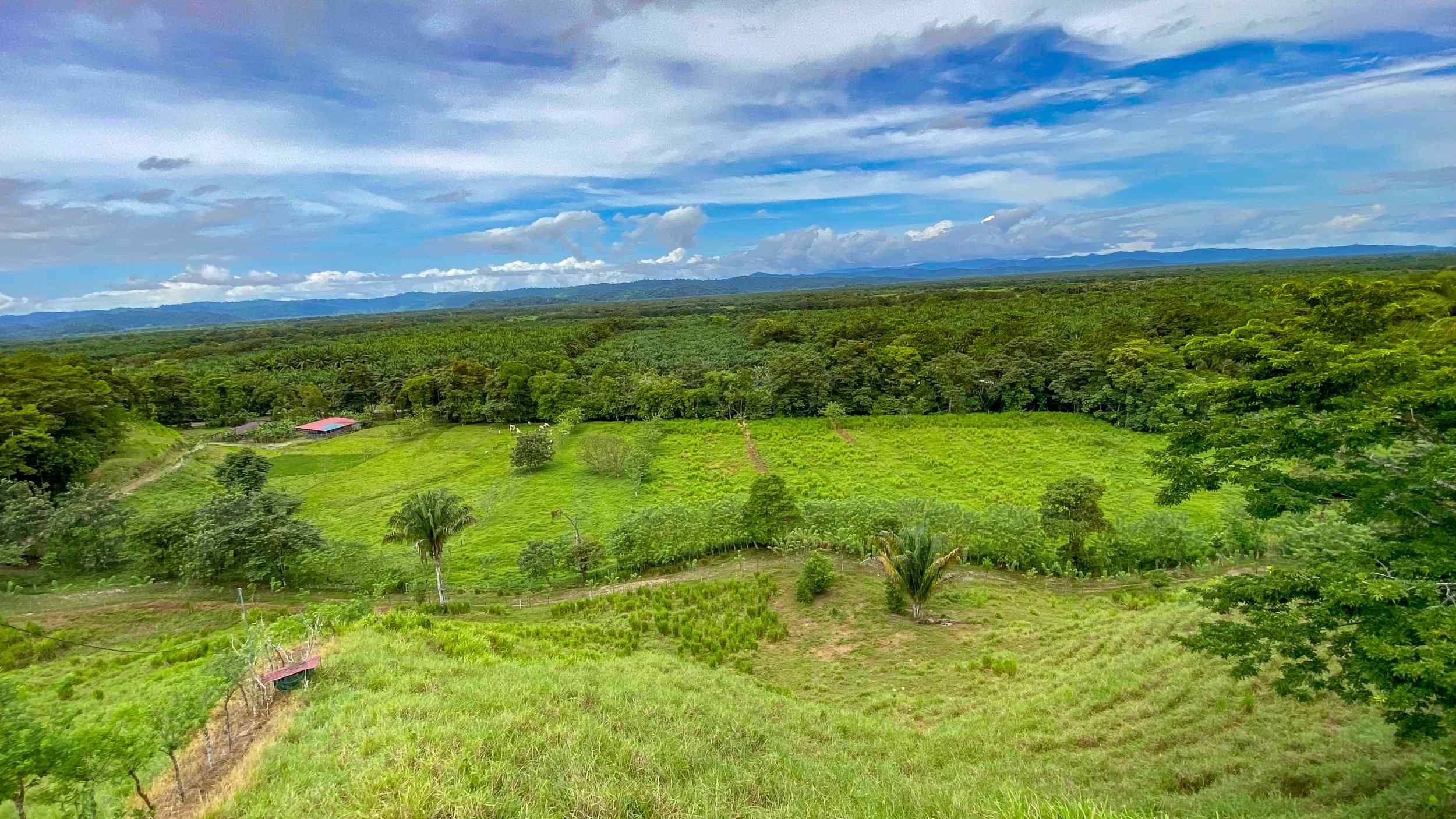 71996-22 Stunning 2-Bedroom Ranch with Panoramic Views & Legal ASADA Water in Palmar Norte Costa Rica