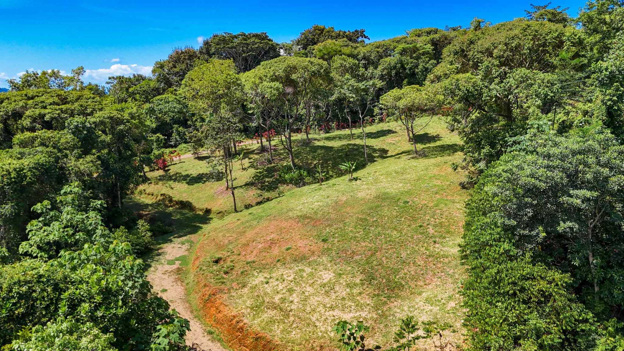 Serene Jungle & Mountain View 4-Acre Building Lot in Tres Rios Costa Rica