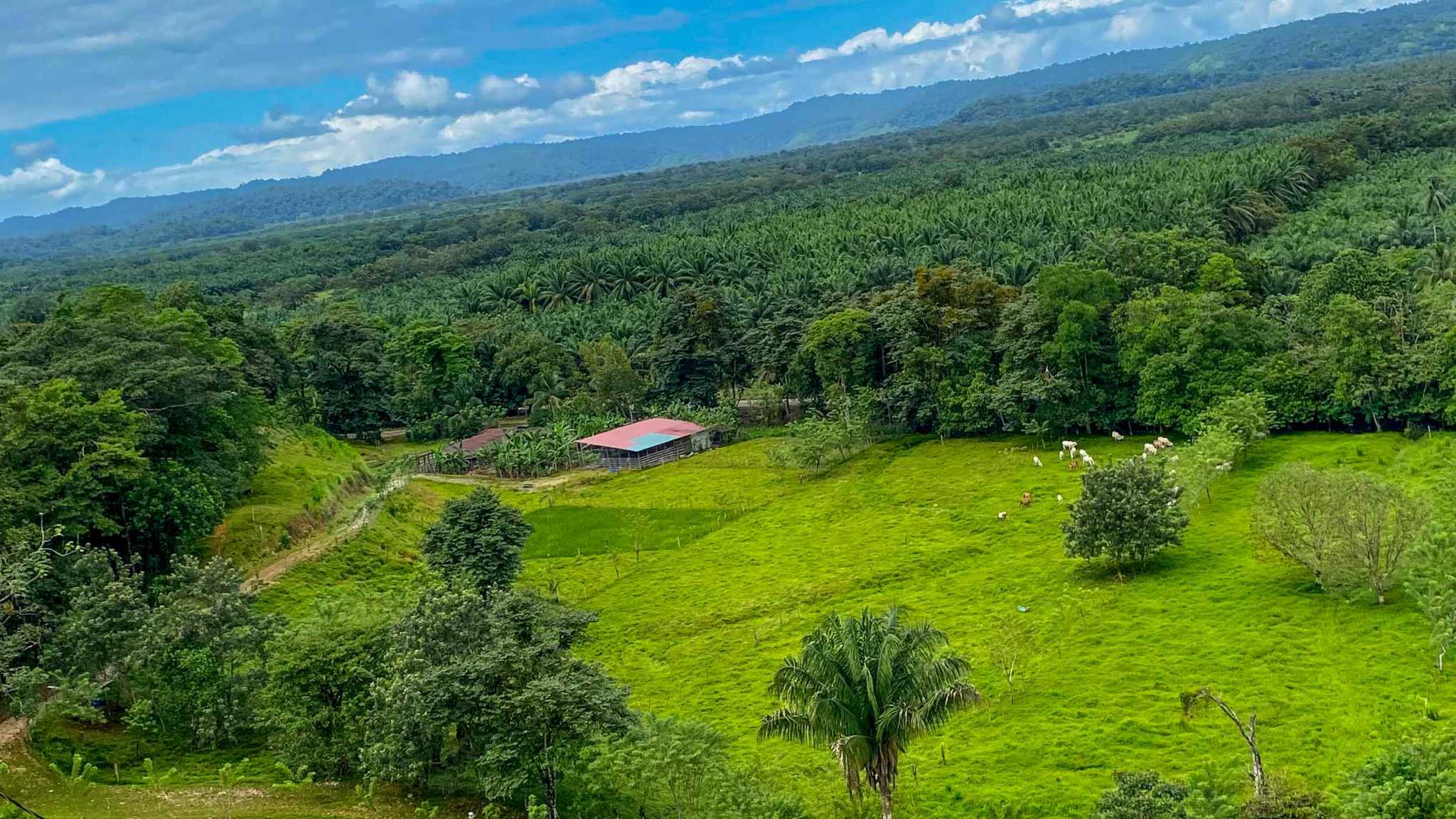 Stunning 2-Bedroom Ranch with Panoramic Views & Legal ASADA Water in Palmar Norte Costa Rica