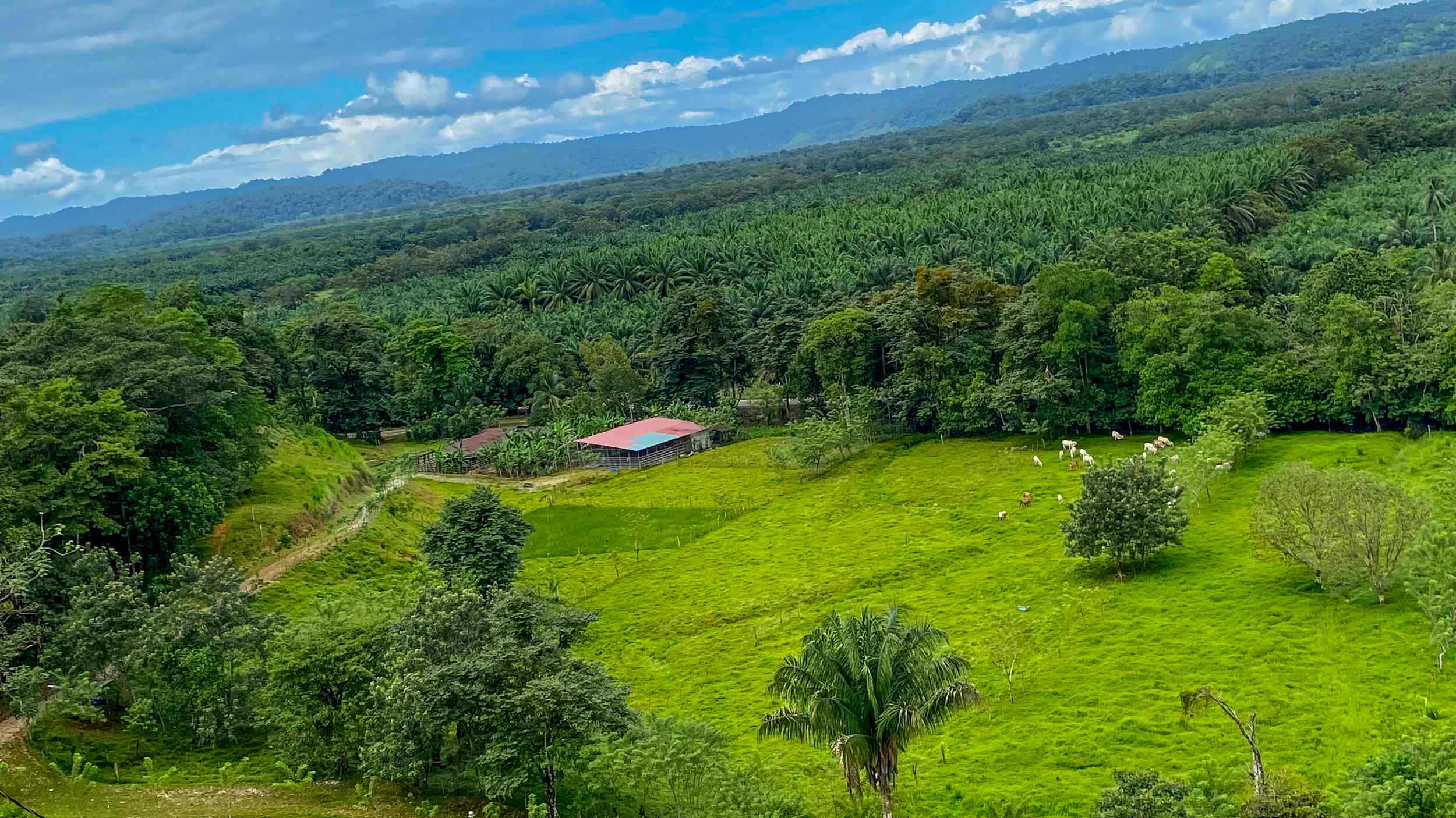71996-24 Stunning 2-Bedroom Ranch with Panoramic Views & Legal ASADA Water in Palmar Norte Costa Rica