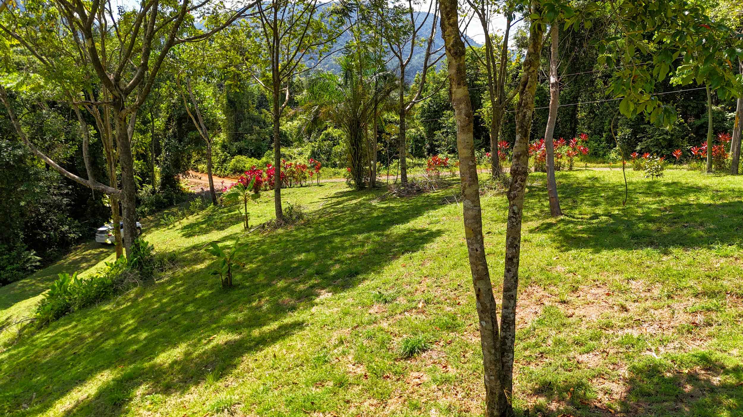 Serene Jungle & Mountain View 4-Acre Building Lot in Tres Rios Costa Rica