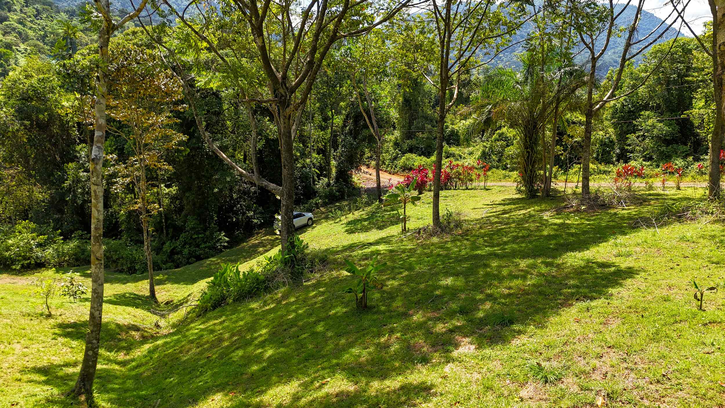 Serene Jungle & Mountain View 4-Acre Building Lot in Tres Rios Costa Rica