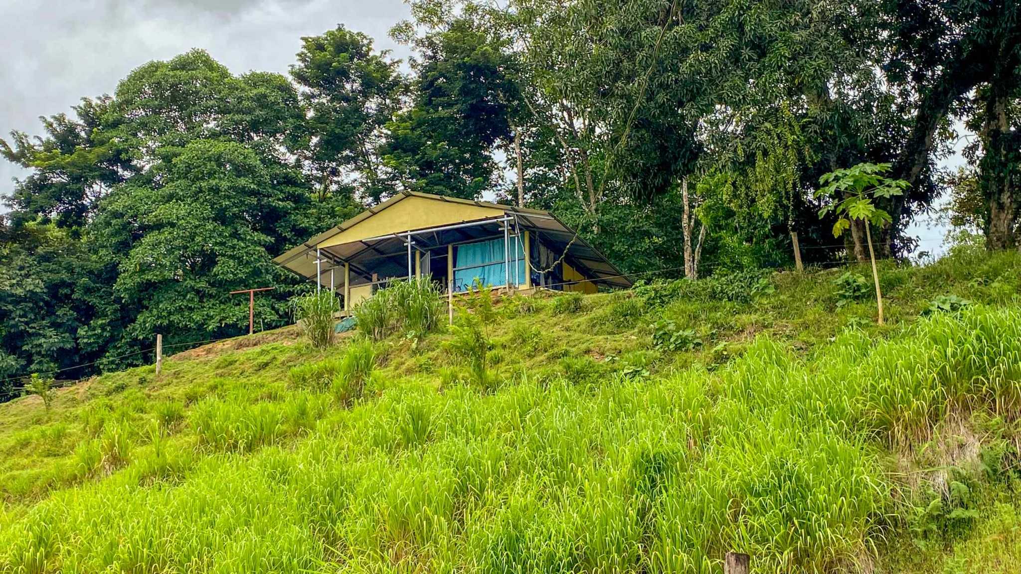 Stunning 2-Bedroom Ranch with Panoramic Views & Legal ASADA Water in Palmar Norte Costa Rica
