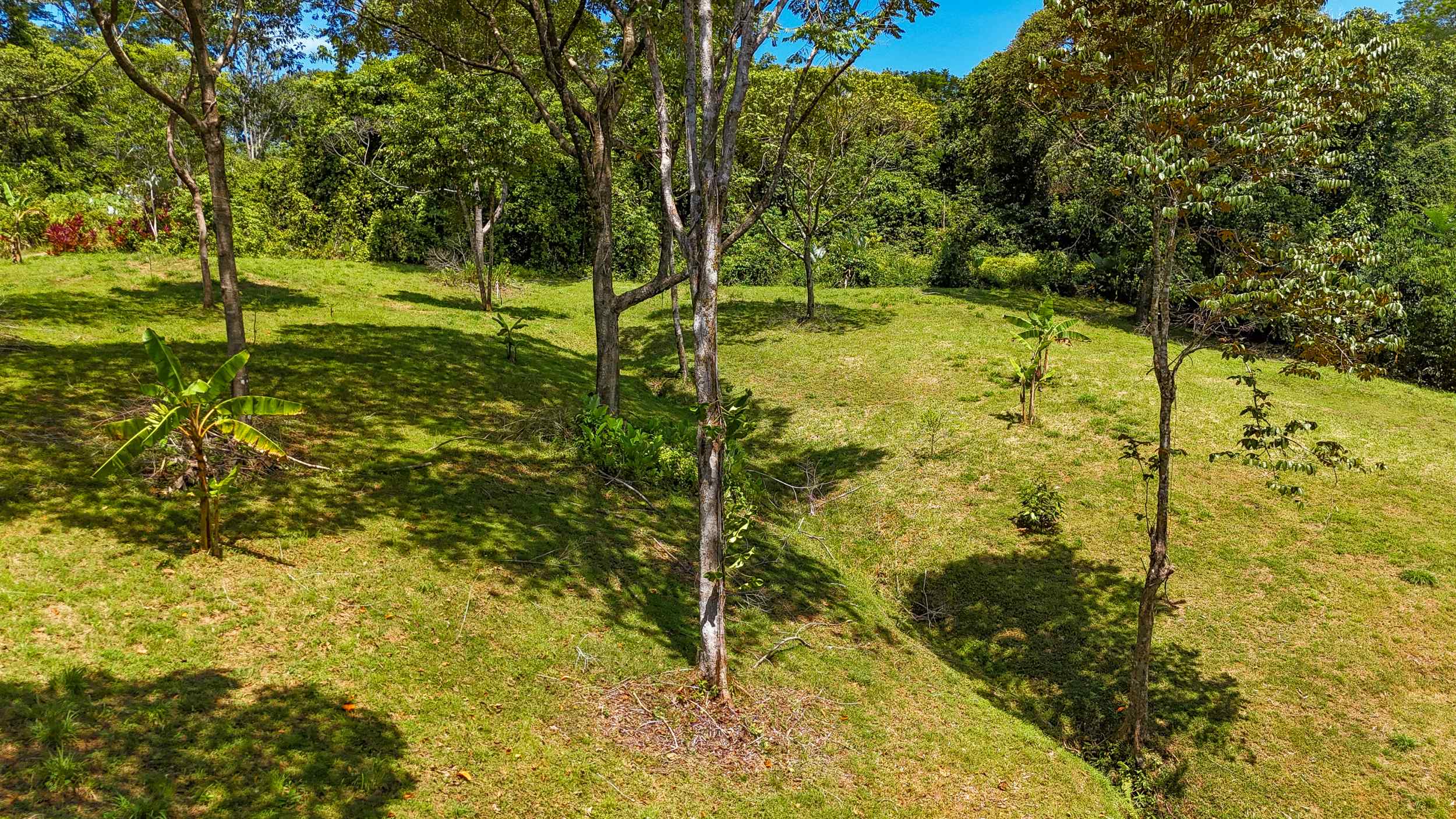 Serene Jungle & Mountain View 4-Acre Building Lot in Tres Rios Costa Rica