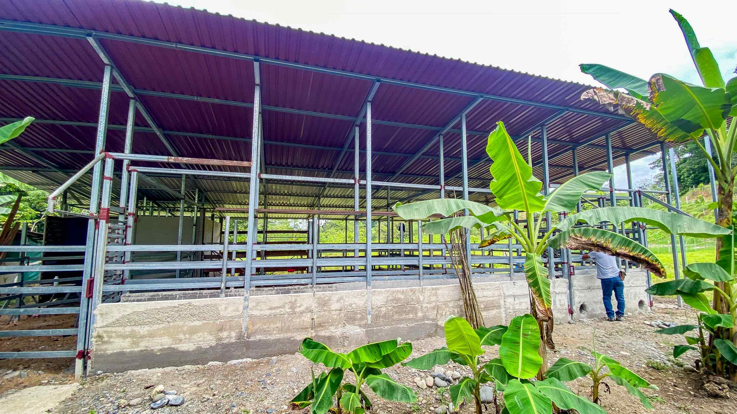 71996-28 Stunning 2-Bedroom Ranch with Panoramic Views & Legal ASADA Water in Palmar Norte Costa Rica