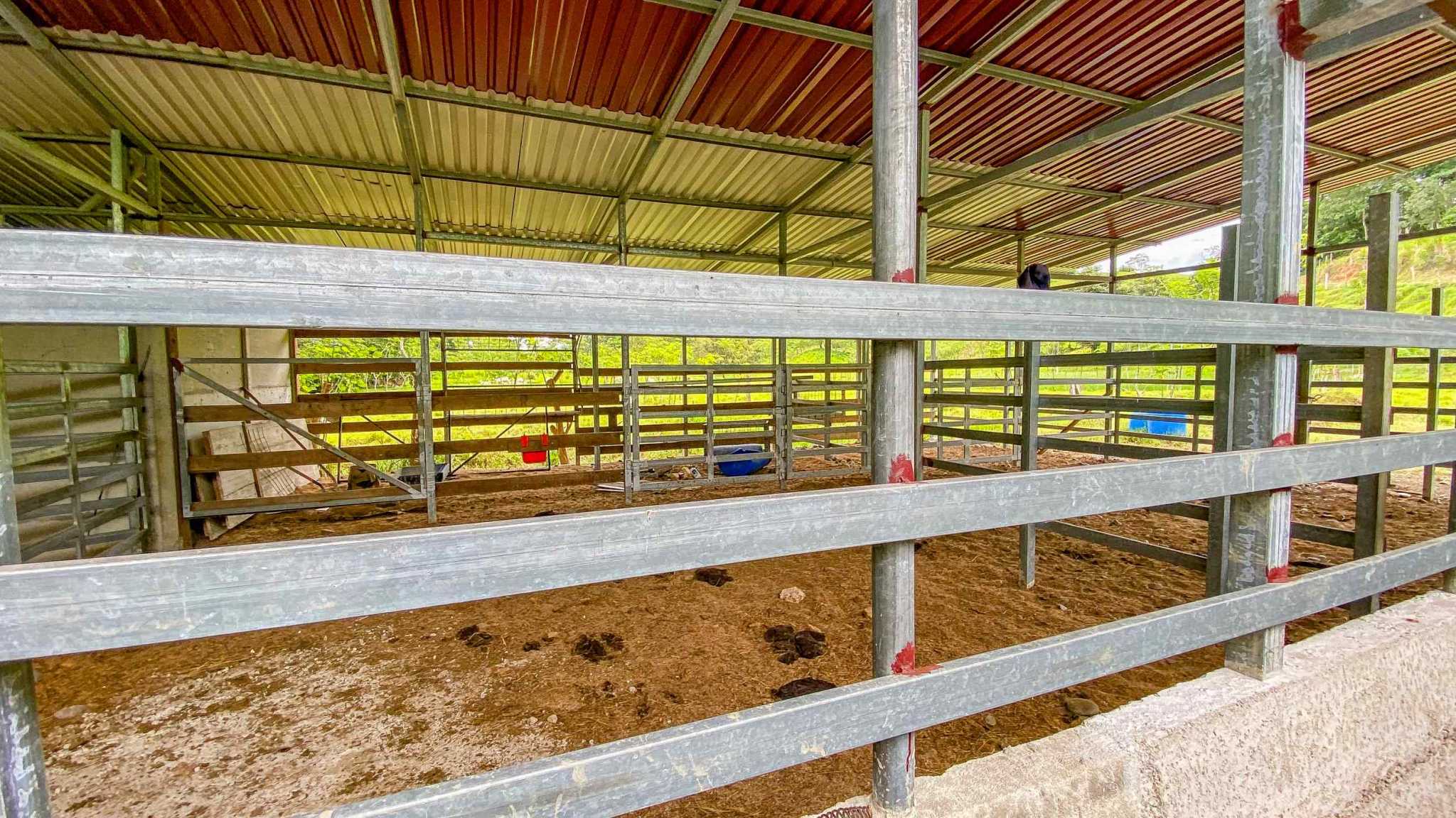 Stunning 2-Bedroom Ranch with Panoramic Views & Legal ASADA Water in Palmar Norte Costa Rica