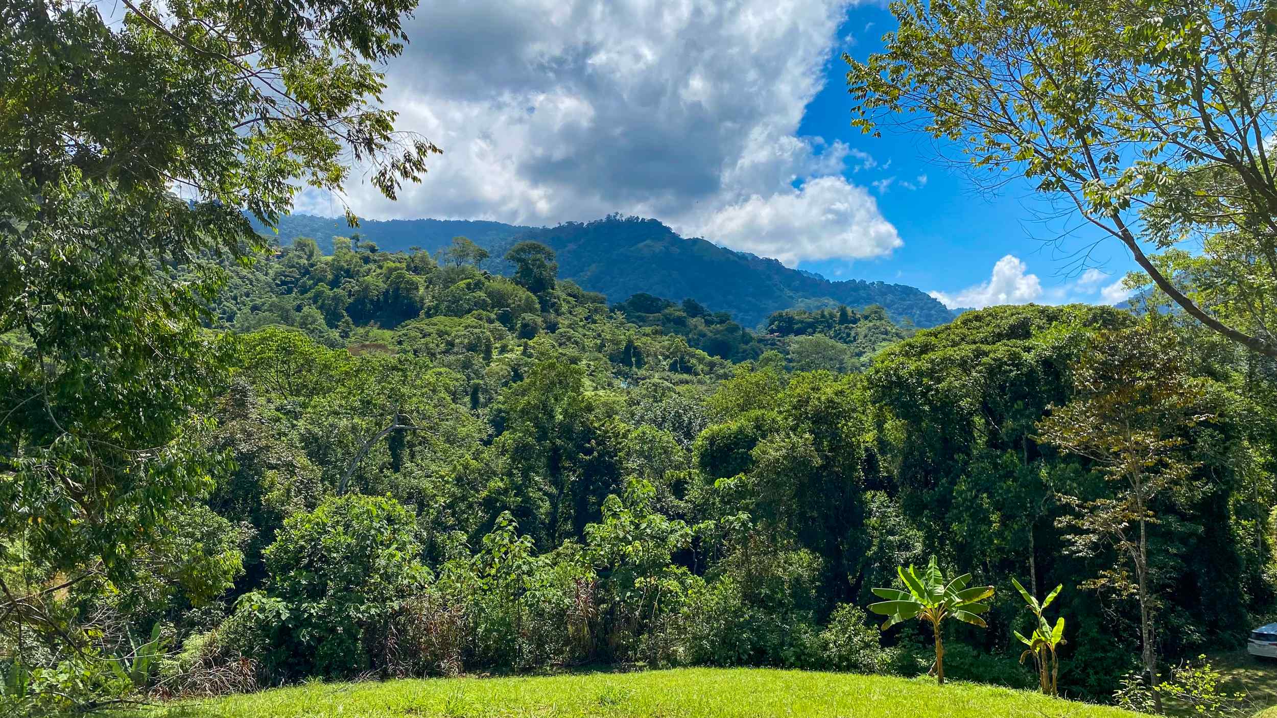 Serene Jungle & Mountain View 4-Acre Building Lot in Tres Rios Costa Rica