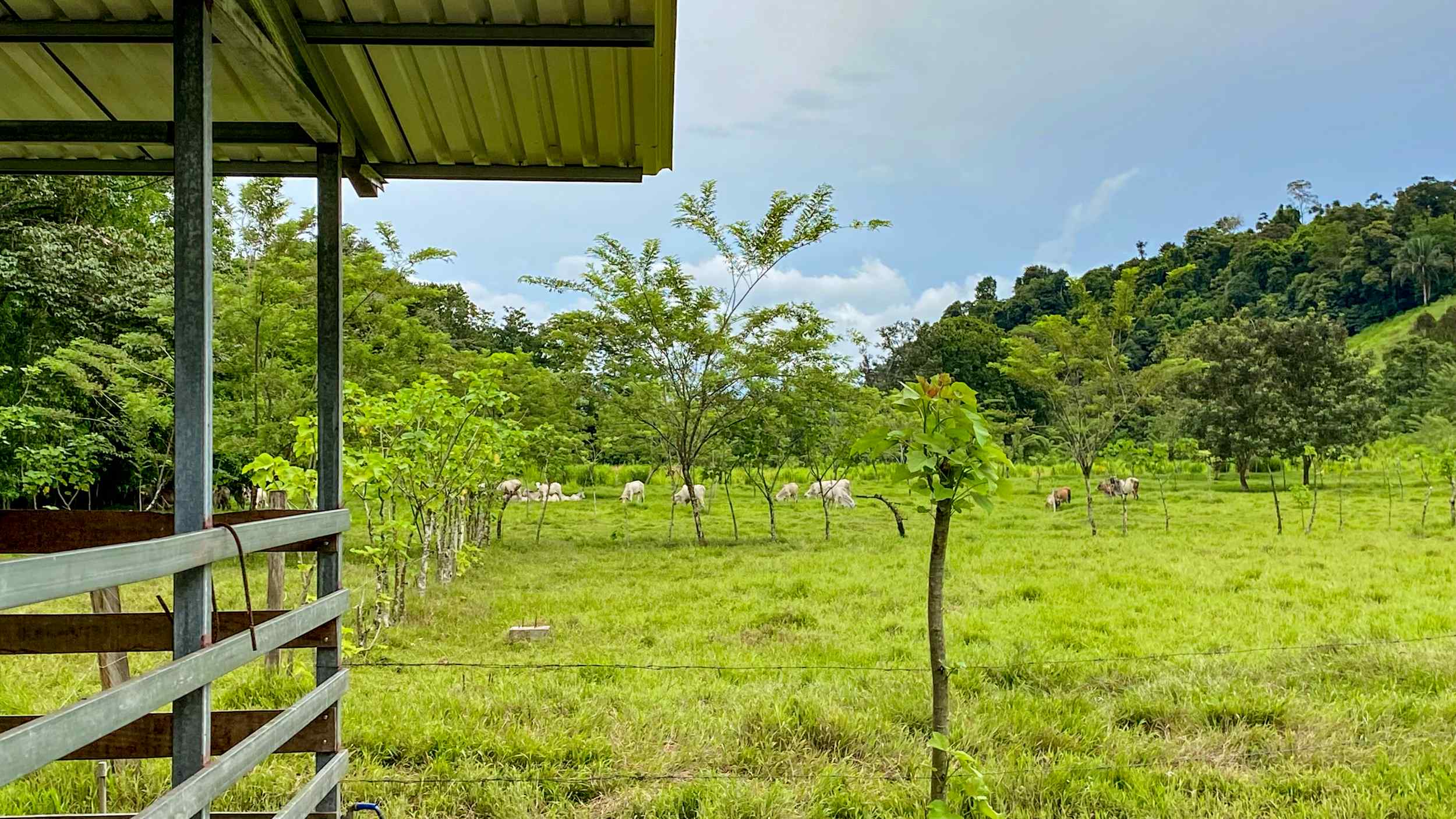 71996-31 Stunning 2-Bedroom Ranch with Panoramic Views & Legal ASADA Water in Palmar Norte Costa Rica