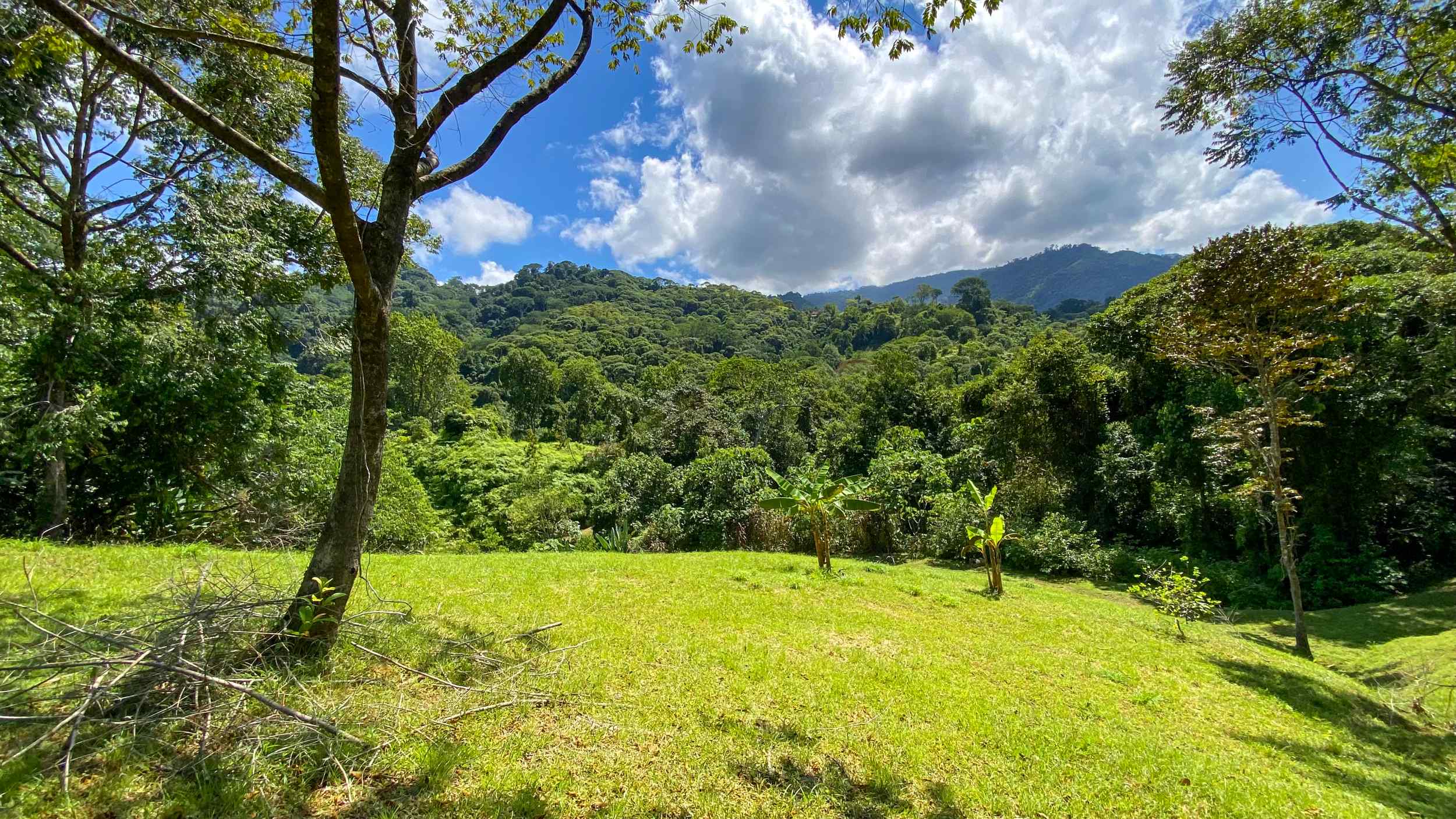 Serene Jungle & Mountain View 4-Acre Building Lot in Tres Rios Costa Rica