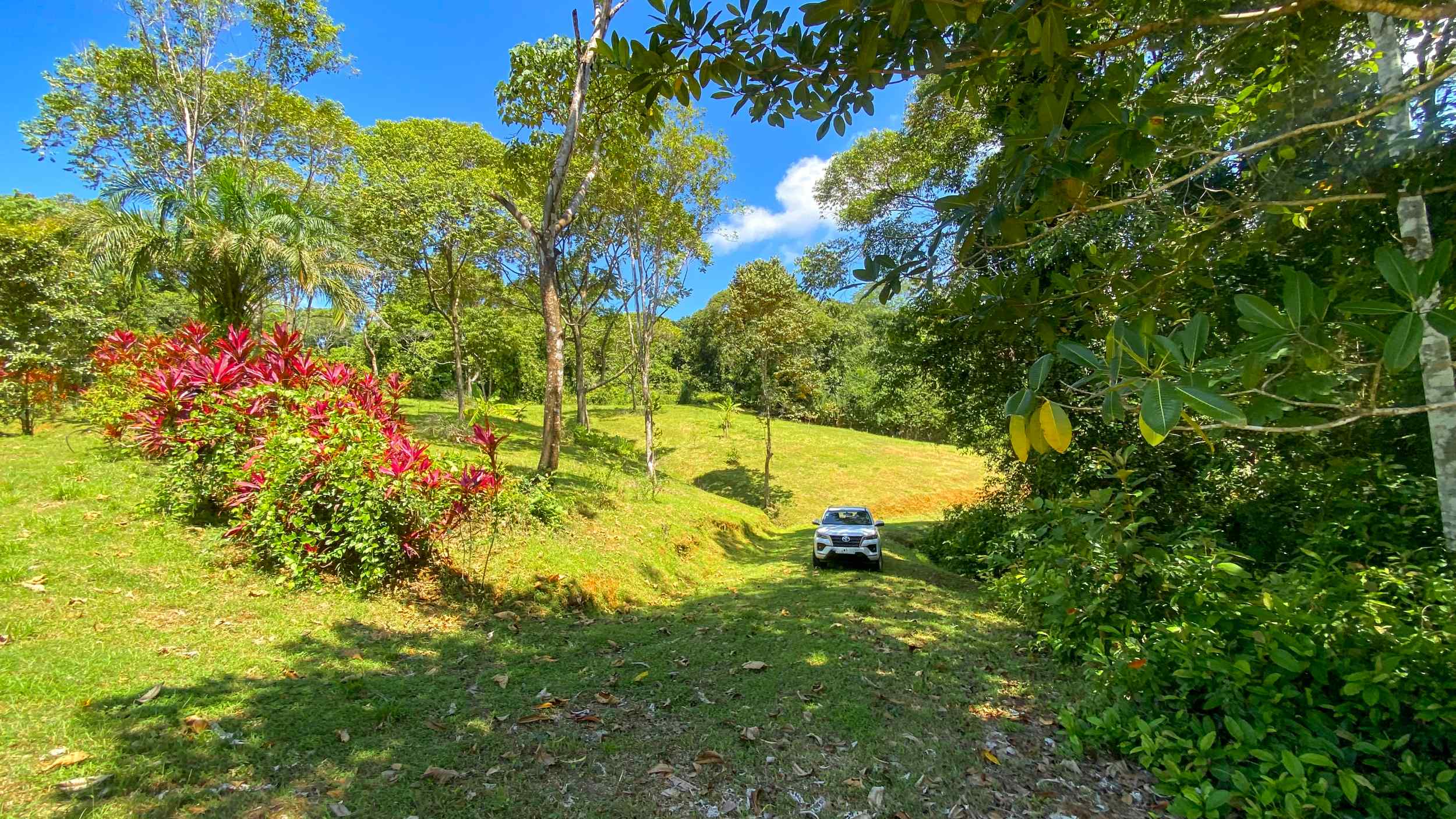 Serene Jungle & Mountain View 4-Acre Building Lot in Tres Rios Costa Rica