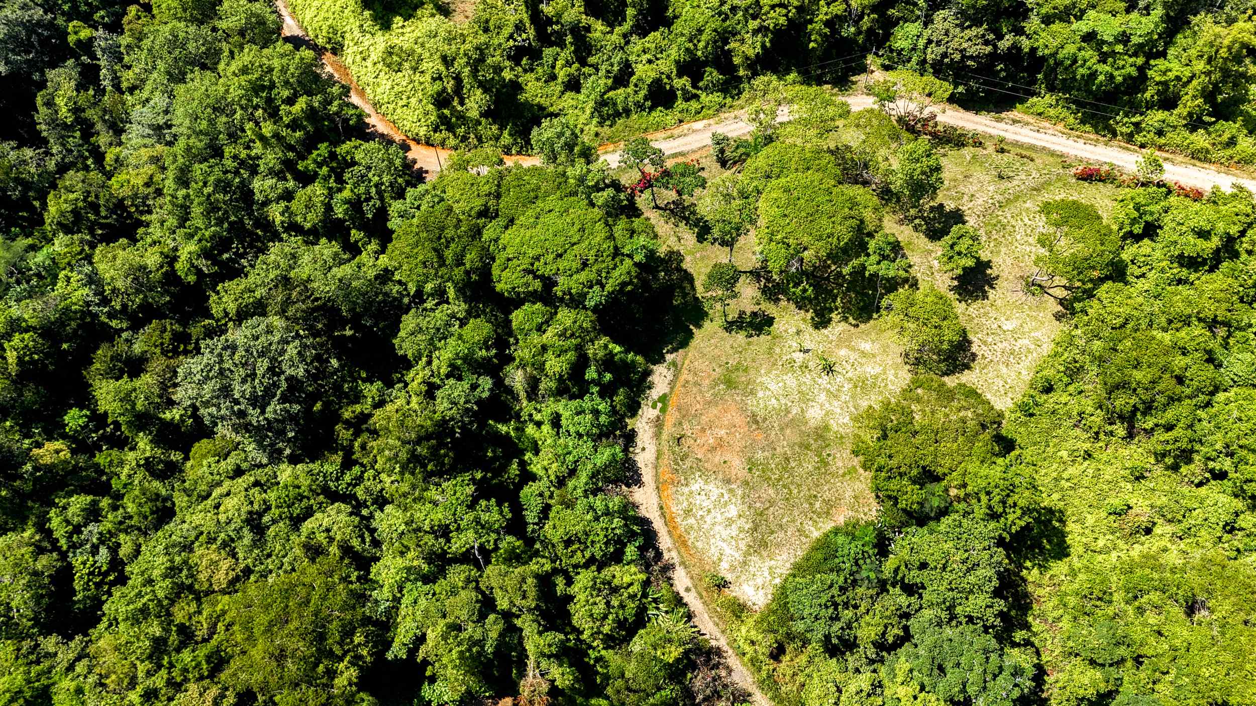Serene Jungle & Mountain View 4-Acre Building Lot in Tres Rios Costa Rica