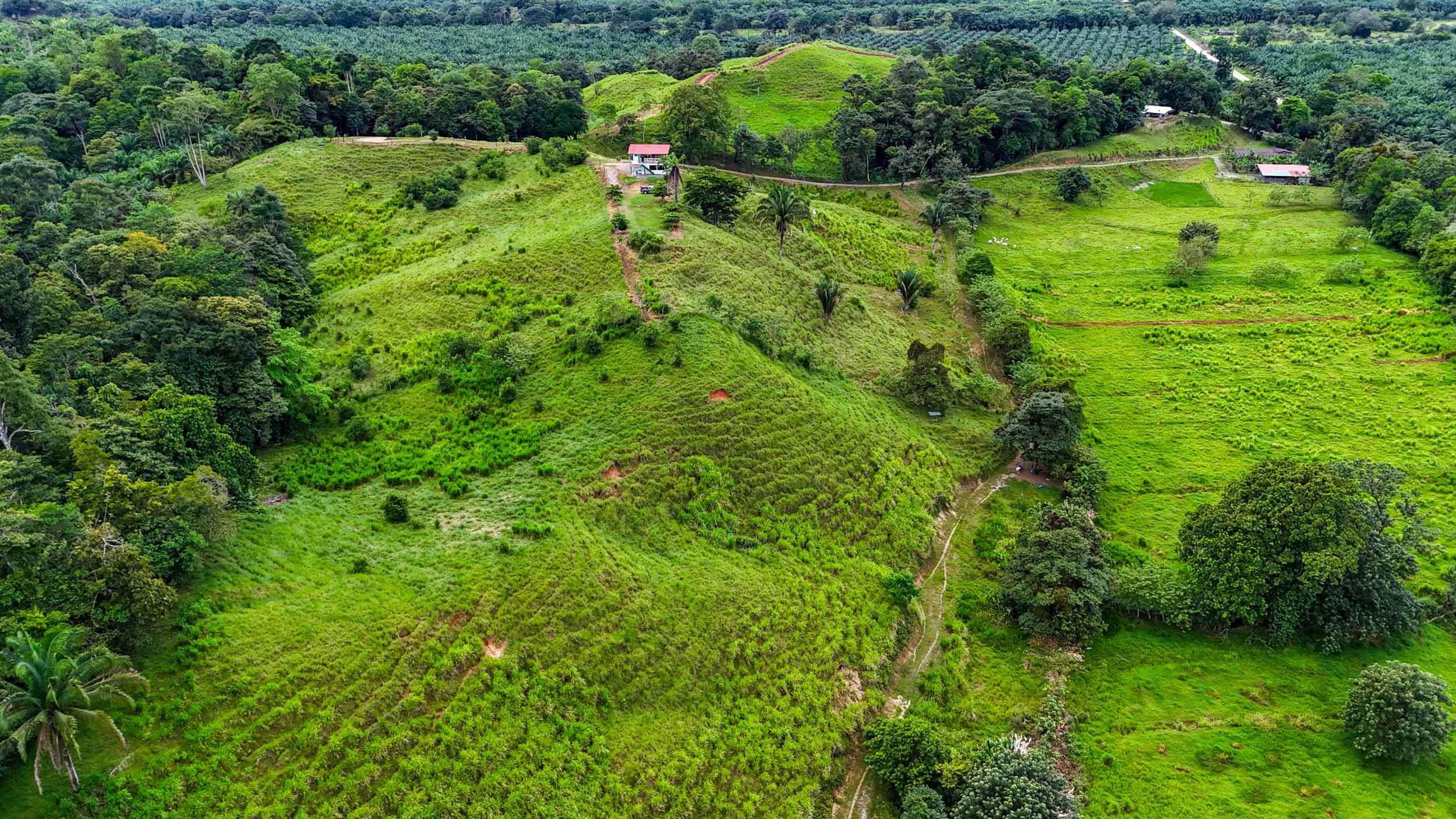 71996-34 Stunning 2-Bedroom Ranch with Panoramic Views & Legal ASADA Water in Palmar Norte Costa Rica