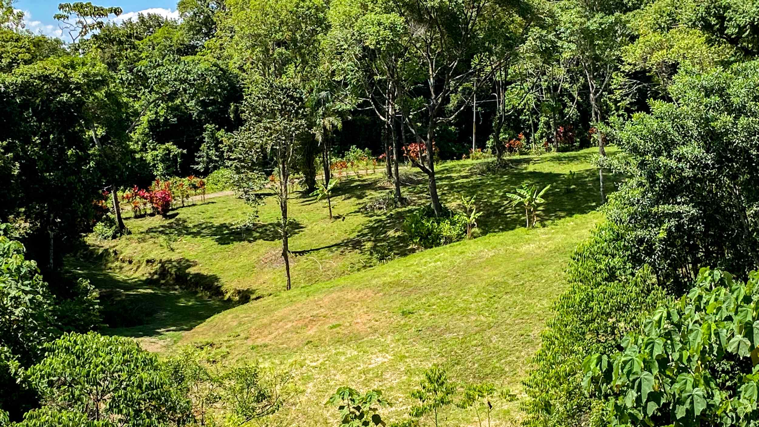 Serene Jungle & Mountain View 4-Acre Building Lot in Tres Rios Costa Rica