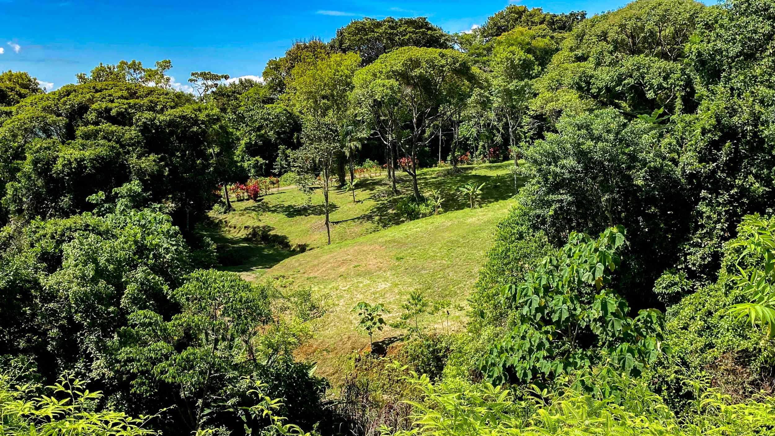 Serene Jungle & Mountain View 4-Acre Building Lot in Tres Rios Costa Rica
