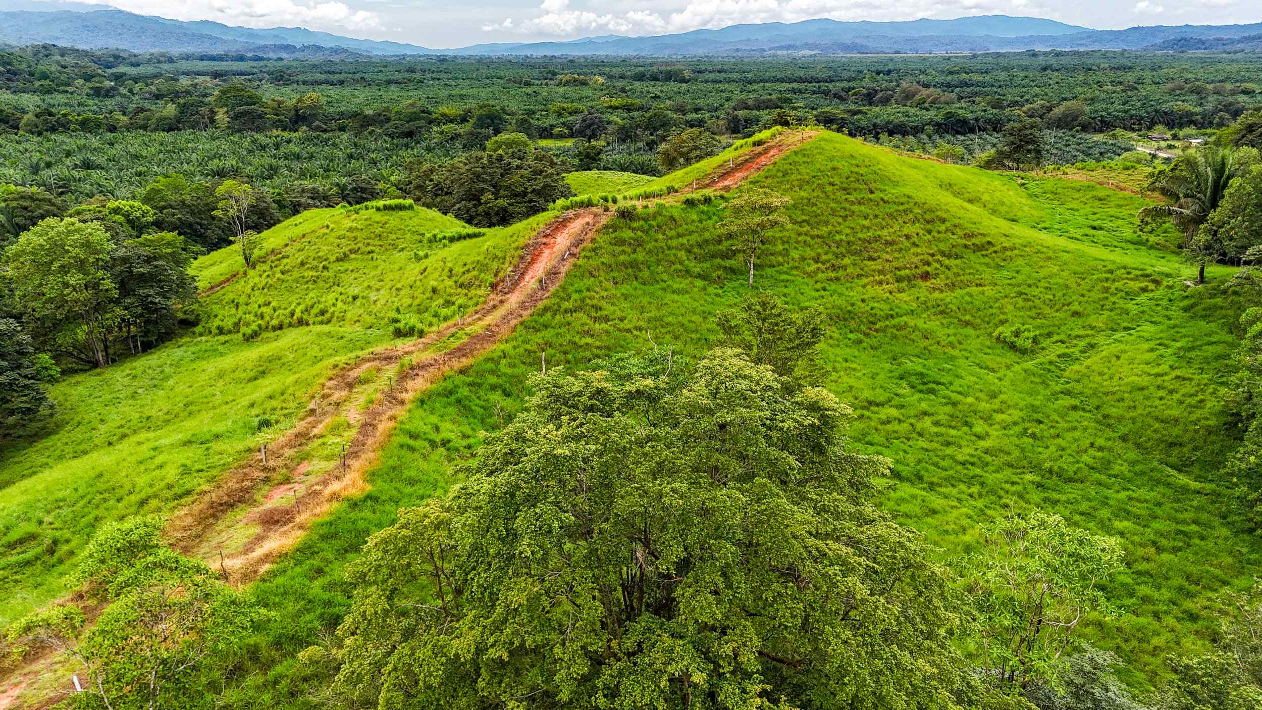 71996-36 Stunning 2-Bedroom Ranch with Panoramic Views & Legal ASADA Water in Palmar Norte Costa Rica