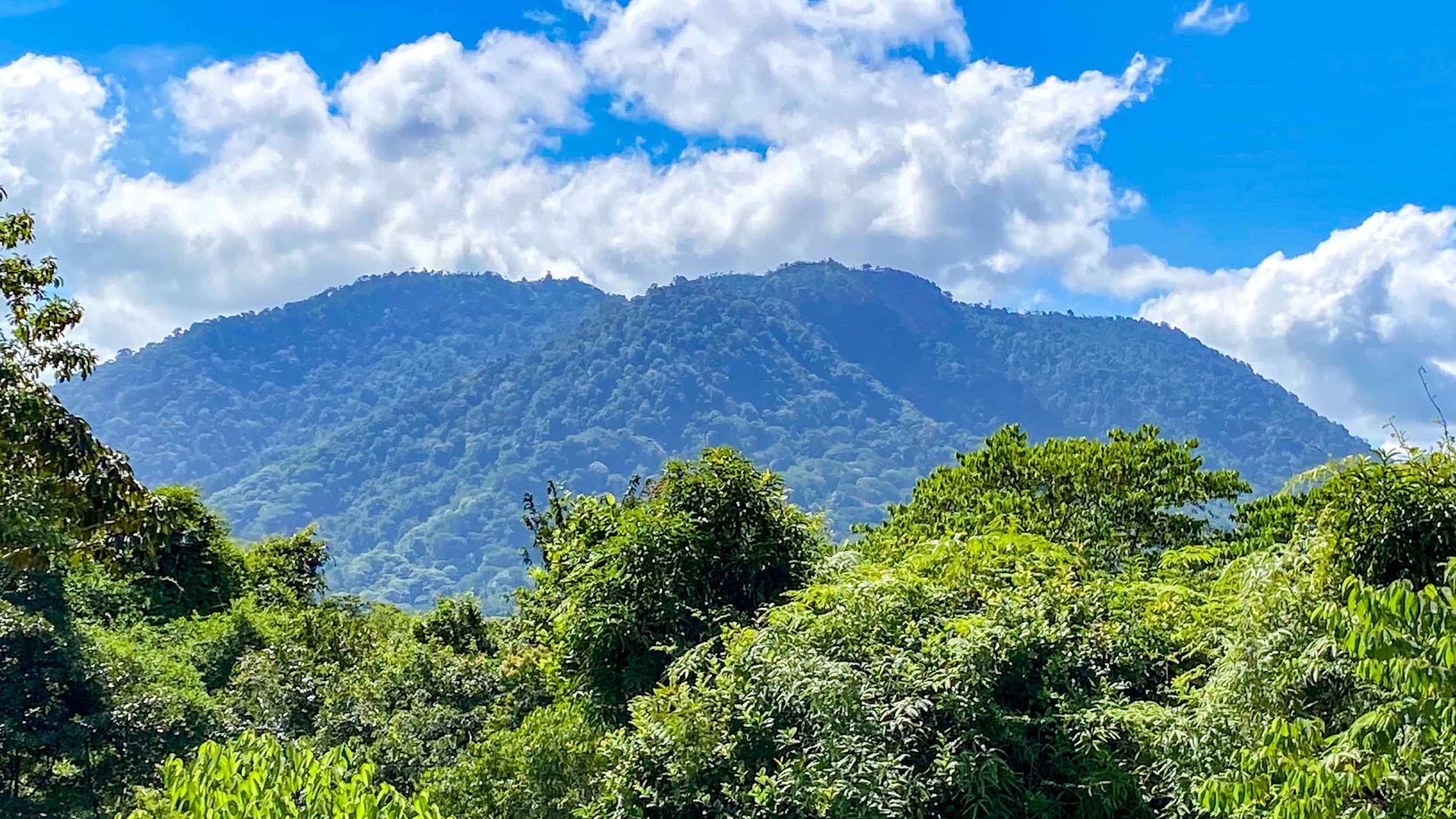 Serene Jungle & Mountain View 4-Acre Building Lot in Tres Rios Costa Rica