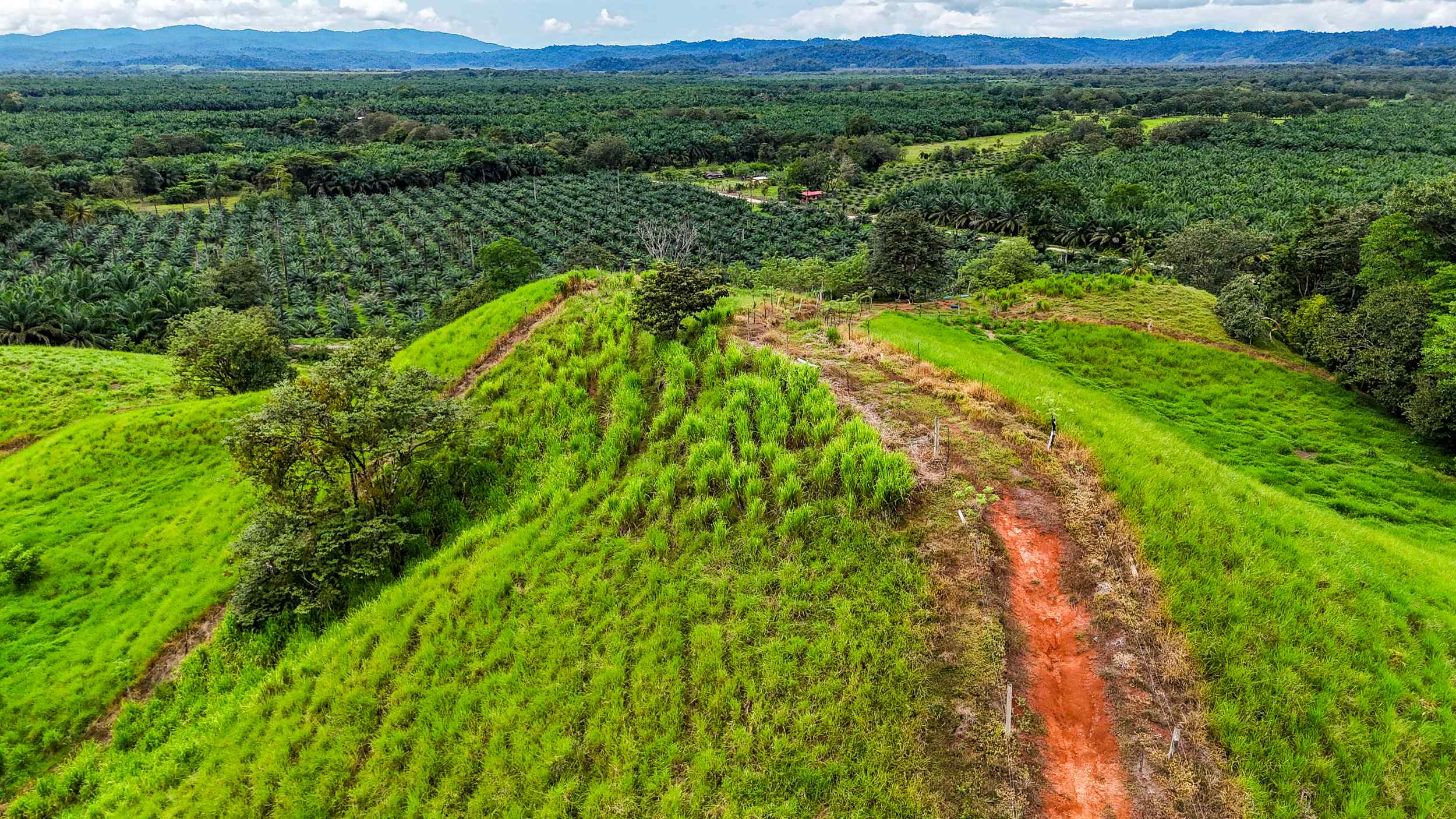 71996-37 Stunning 2-Bedroom Ranch with Panoramic Views & Legal ASADA Water in Palmar Norte Costa Rica