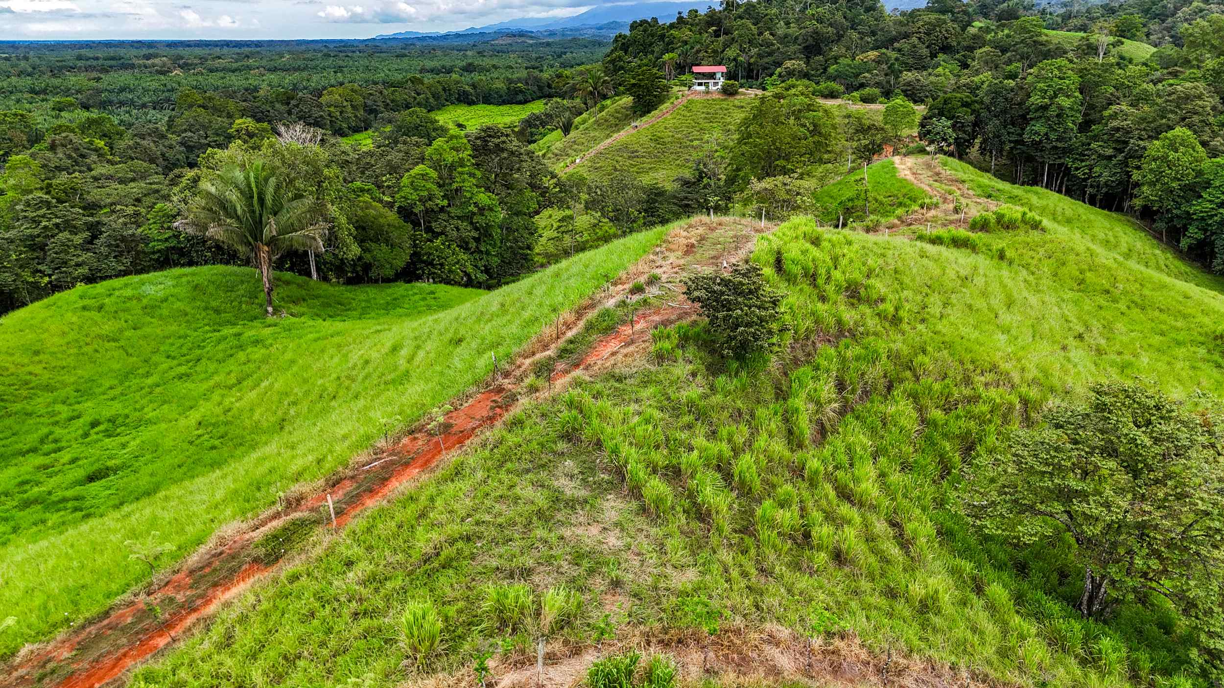 71996-38 Stunning 2-Bedroom Ranch with Panoramic Views & Legal ASADA Water in Palmar Norte Costa Rica