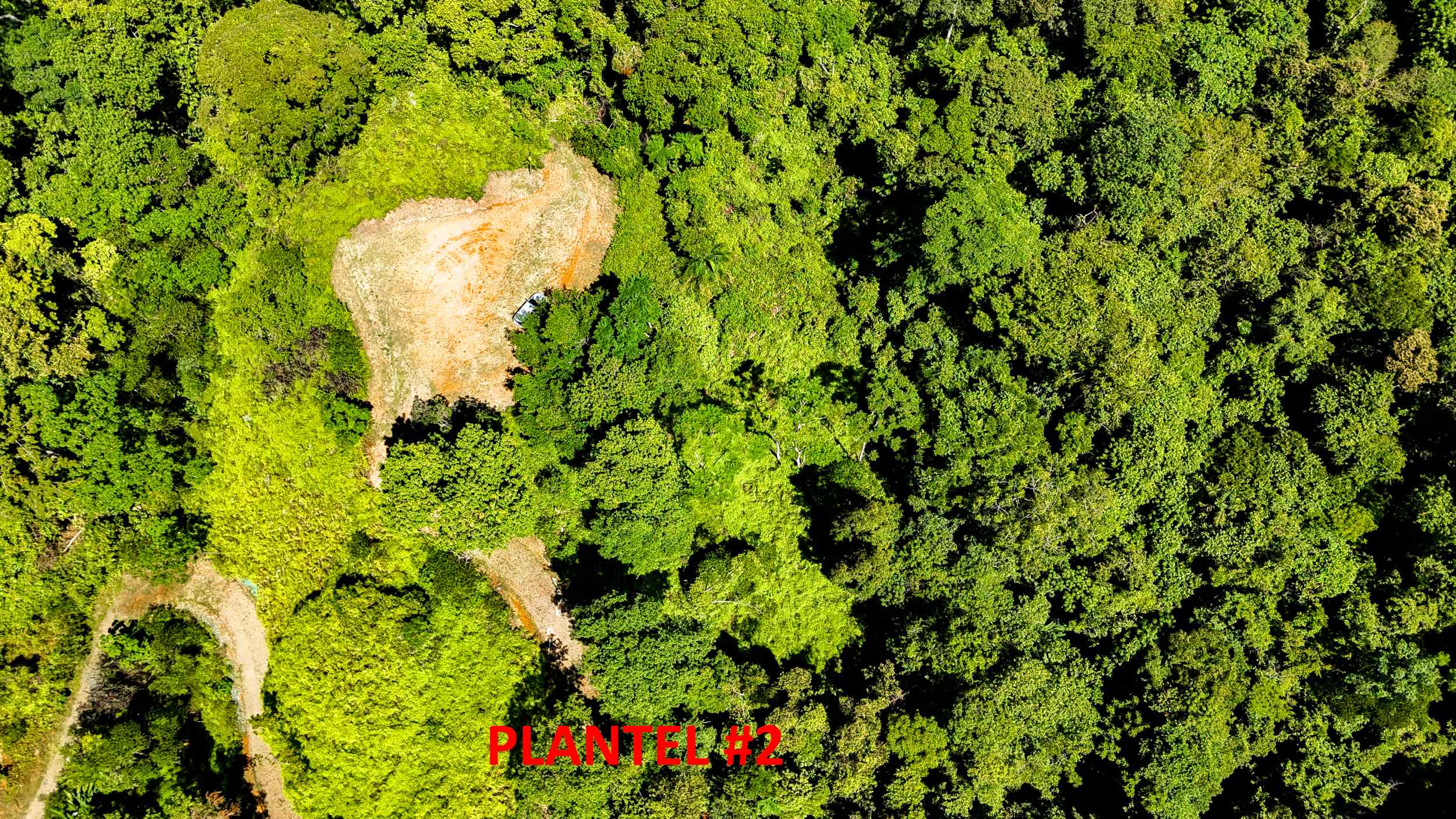Serene Jungle & Mountain View 4-Acre Building Lot in Tres Rios Costa Rica