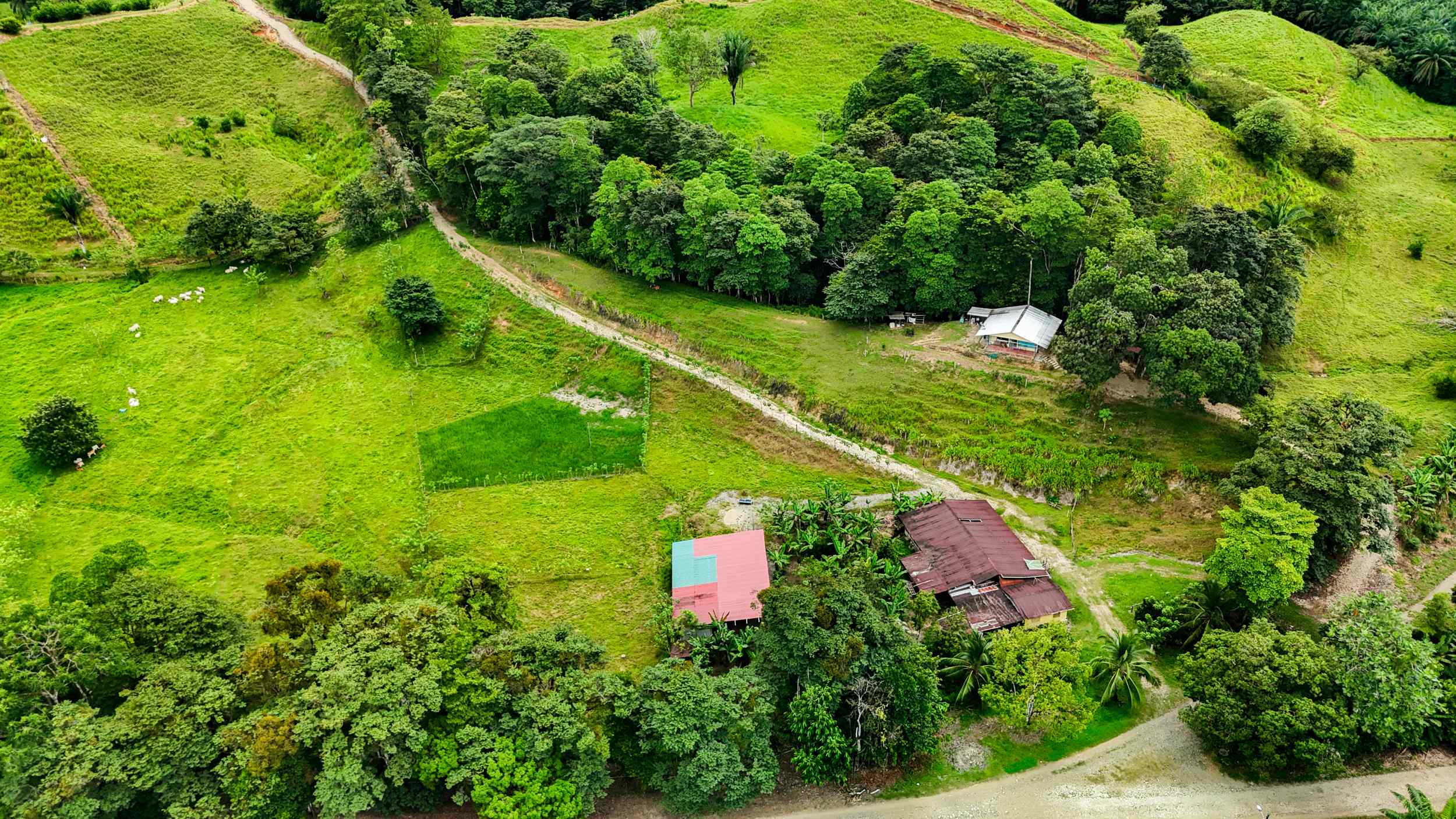 71996-40 Stunning 2-Bedroom Ranch with Panoramic Views & Legal ASADA Water in Palmar Norte Costa Rica