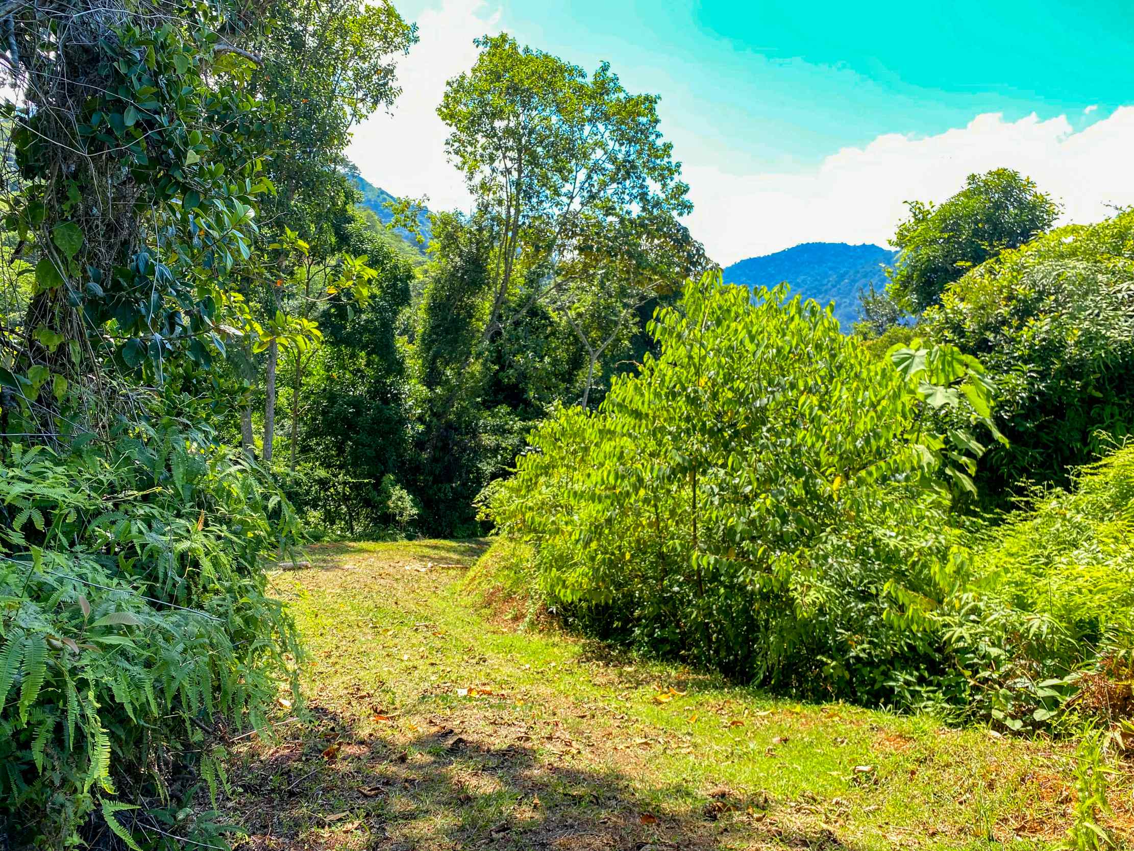 Serene Jungle & Mountain View 4-Acre Building Lot in Tres Rios Costa Rica
