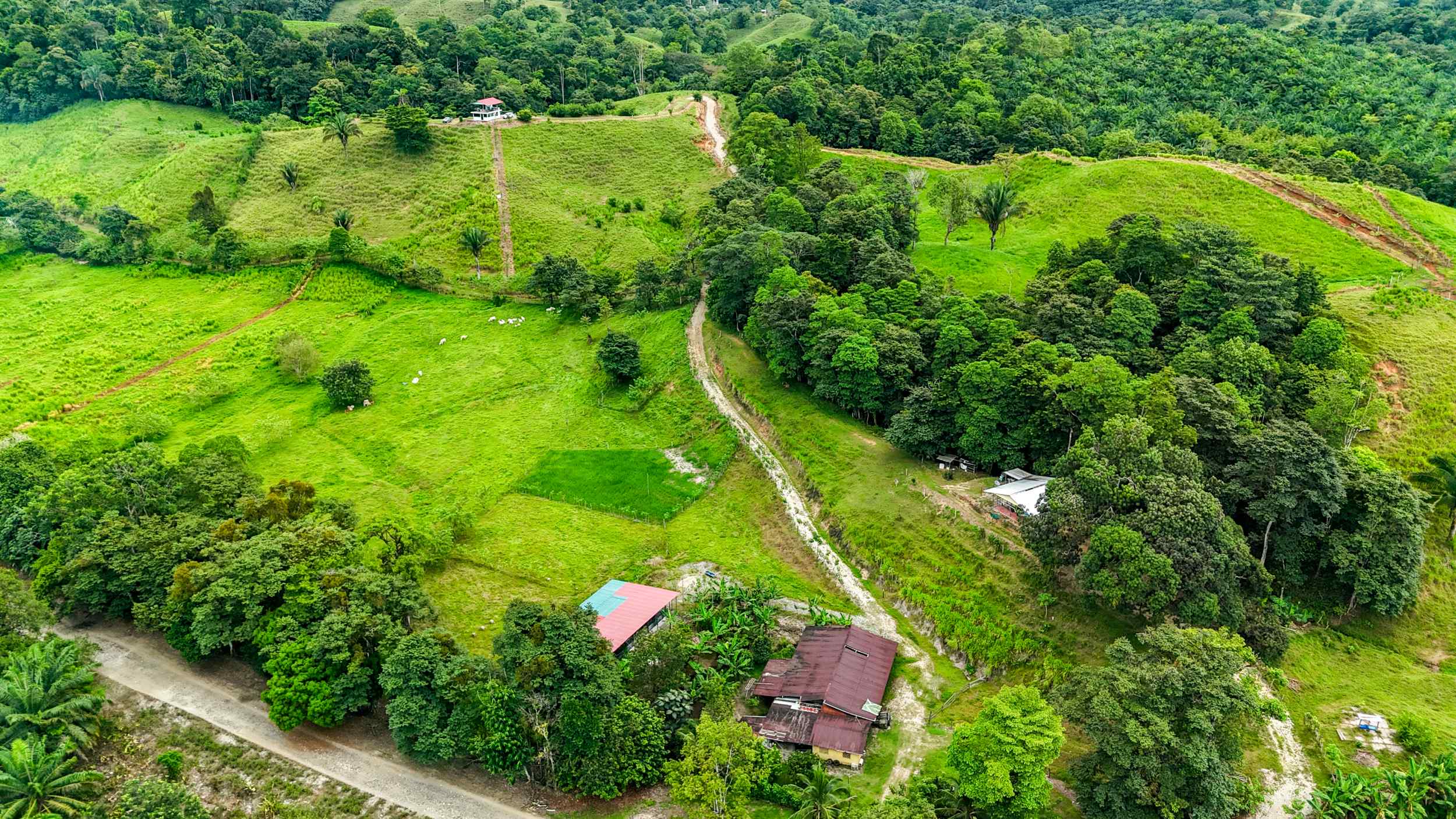 71996-42 Stunning 2-Bedroom Ranch with Panoramic Views & Legal ASADA Water in Palmar Norte Costa Rica
