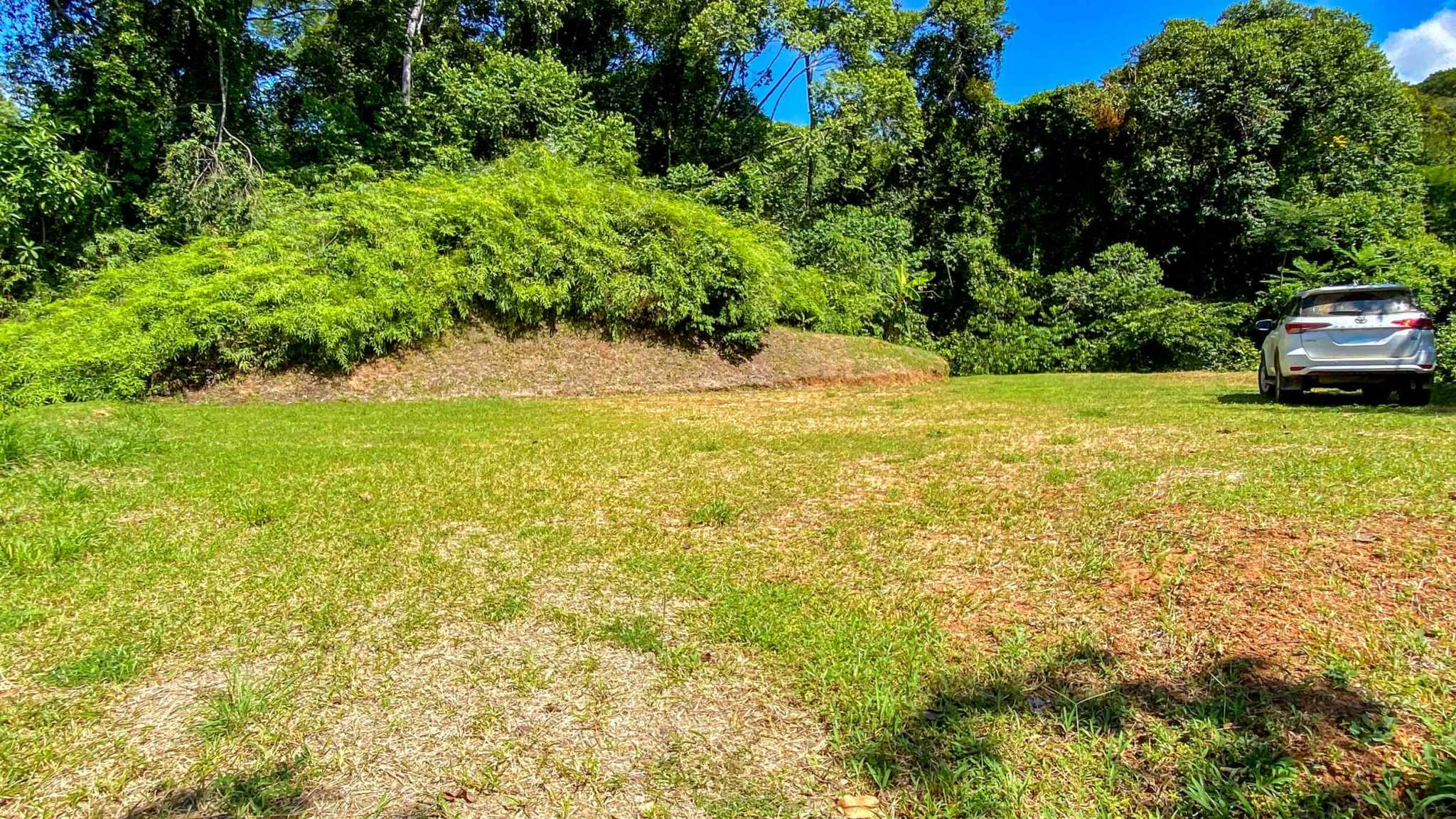Serene Jungle & Mountain View 4-Acre Building Lot in Tres Rios Costa Rica