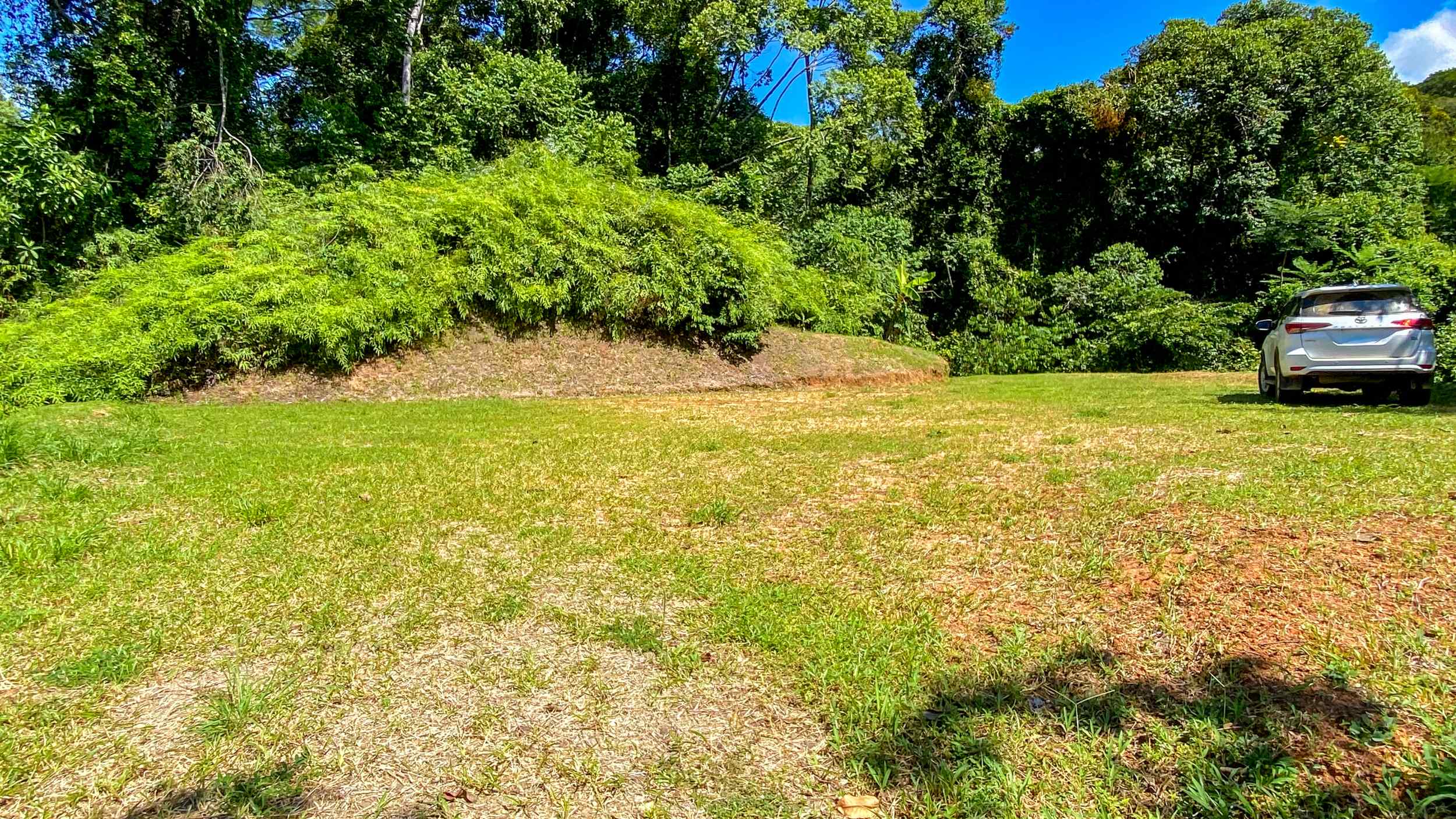 Serene Jungle & Mountain View 4-Acre Building Lot in Tres Rios Costa Rica